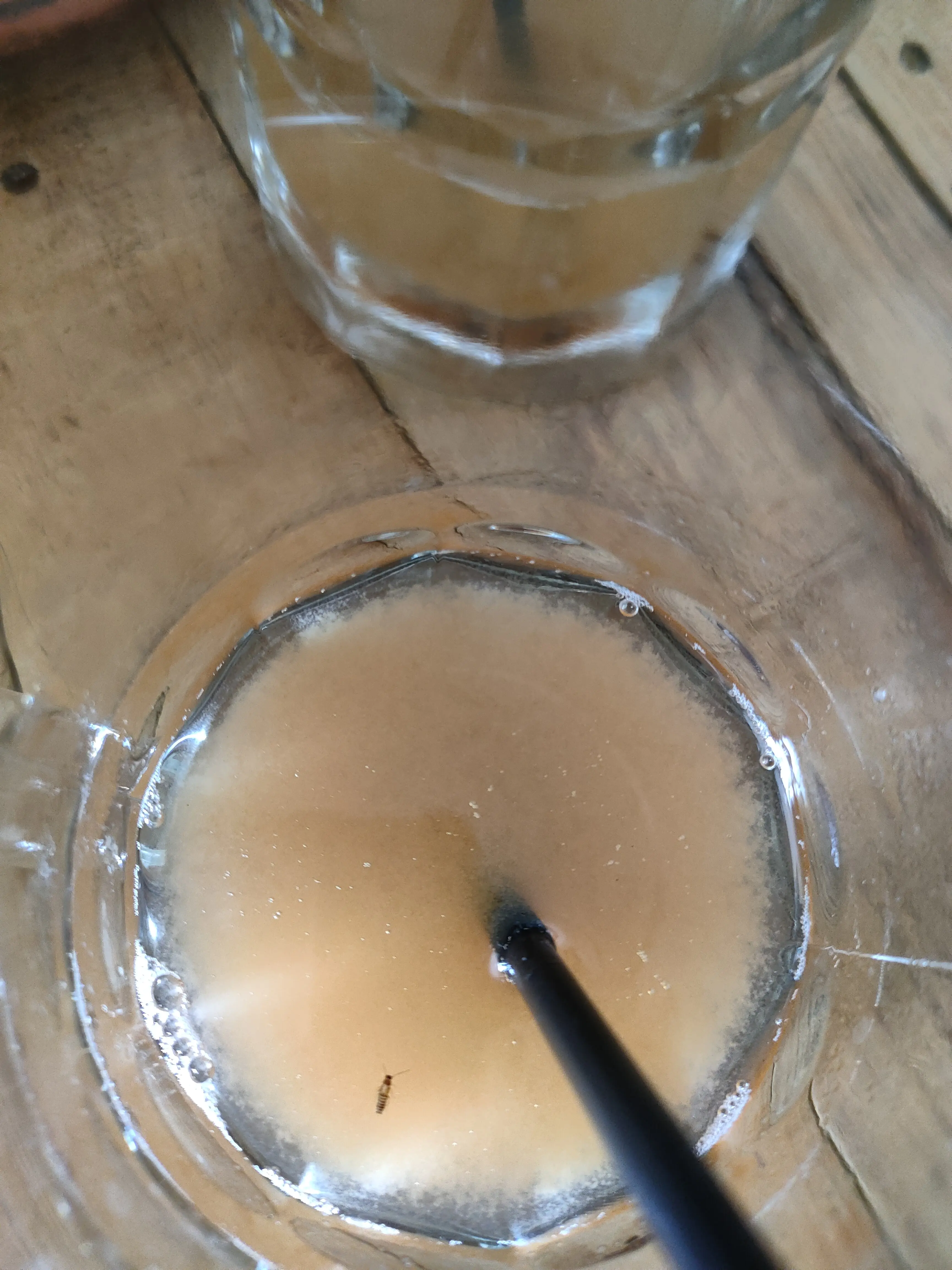 RESTAURANT EL JAHUEY image 8