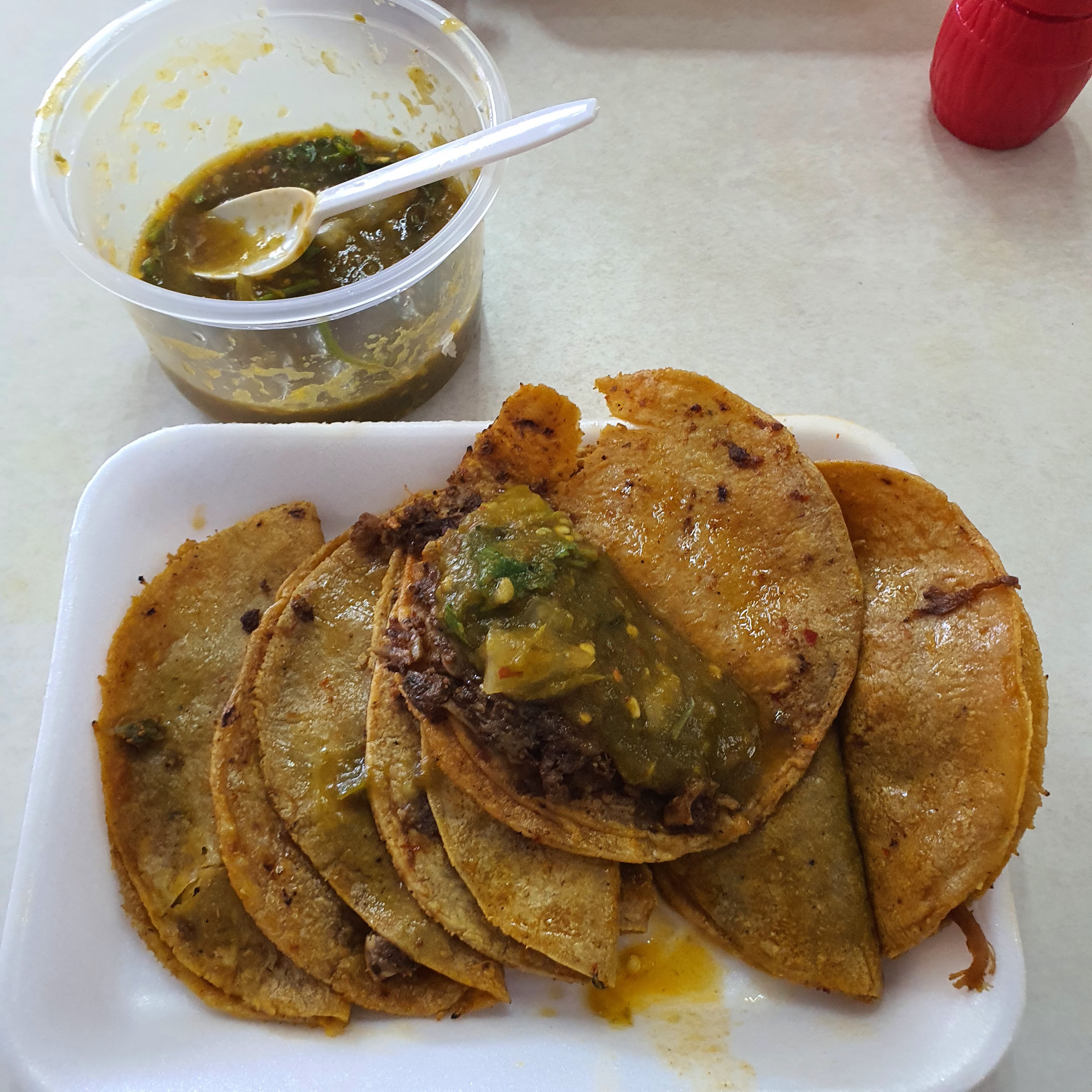 La Rosa Náutica image 5