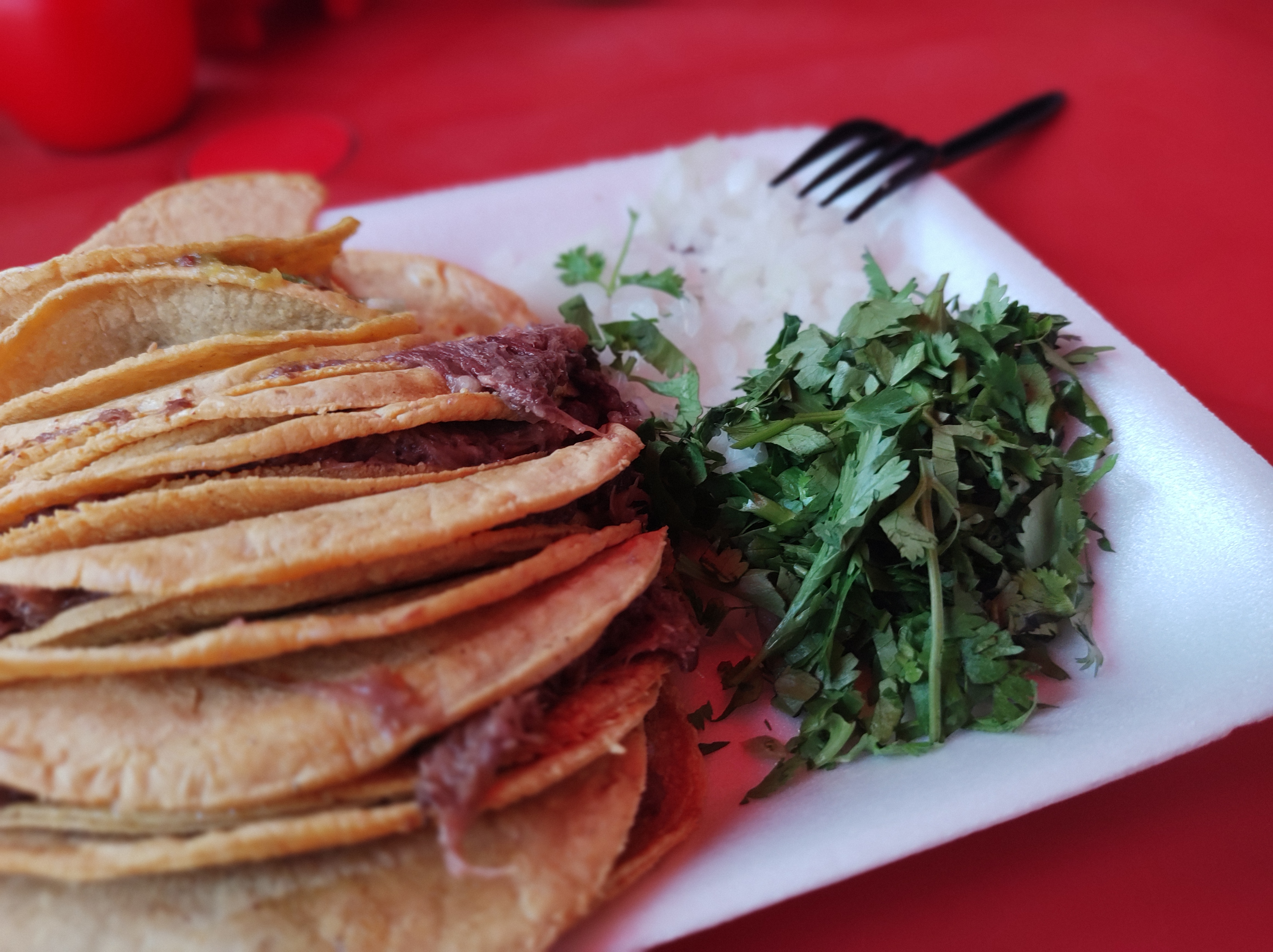 TACOS DE BARBACOA MODESTO ARREOLA image 6