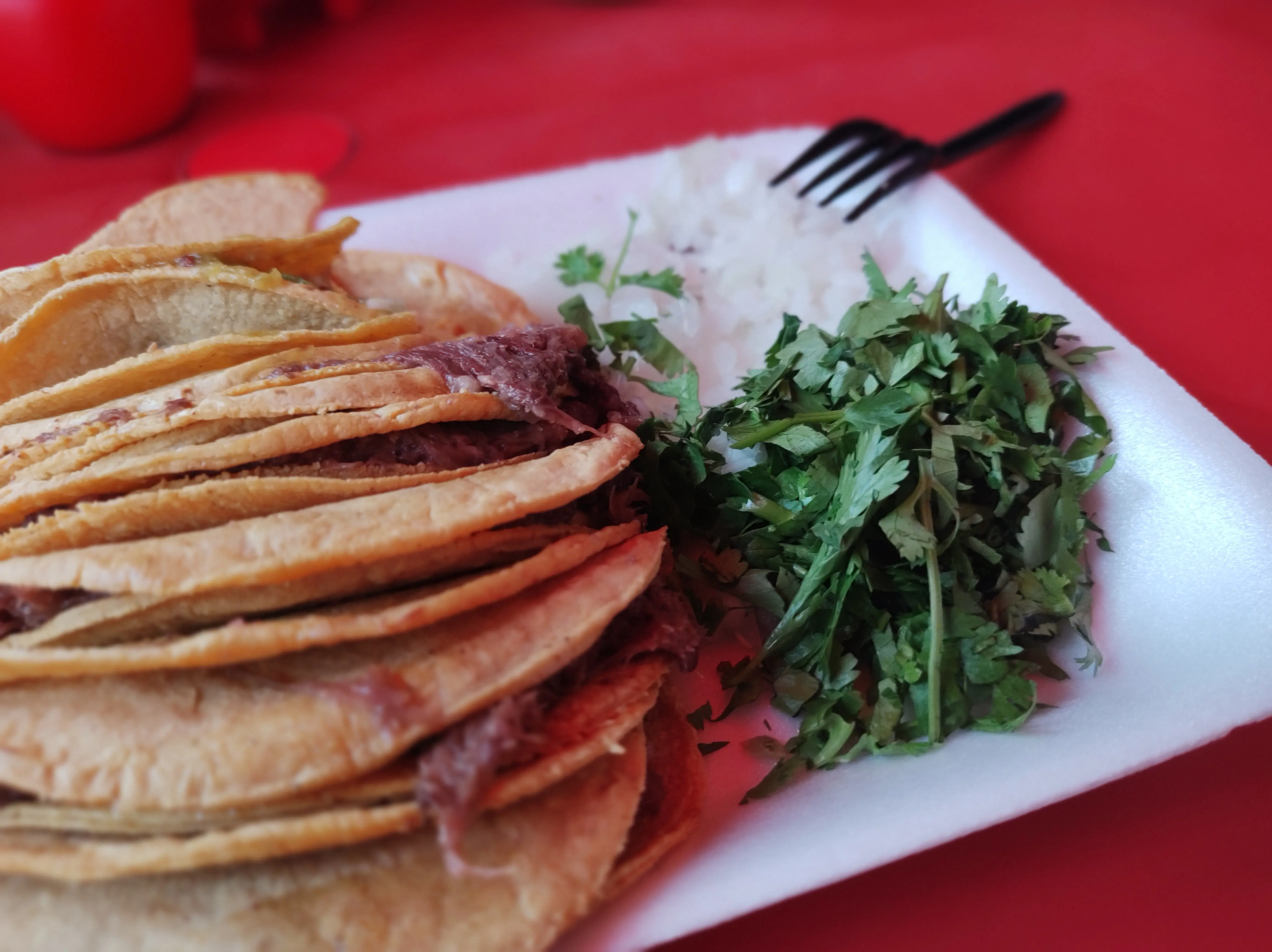 TACOS DE BARBACOA MODESTO ARREOLA image 6