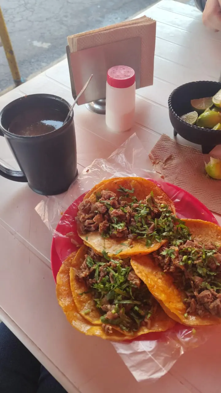 Birria Daibell image 2