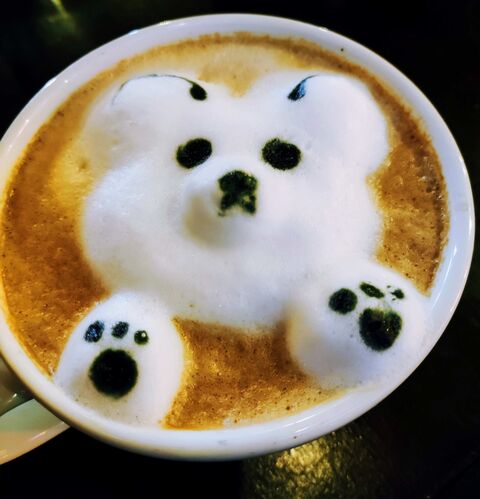 Café de la O image 6