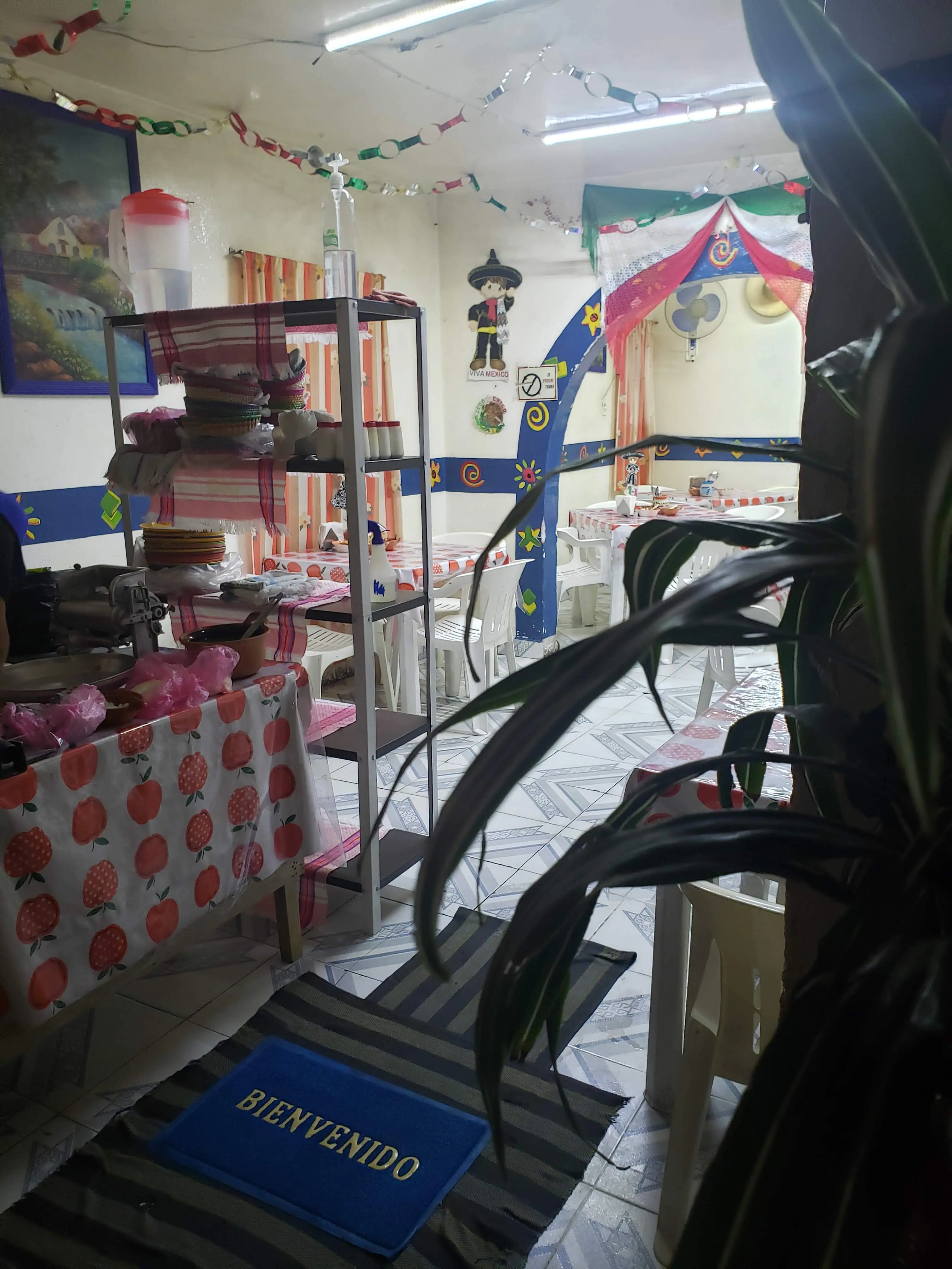 Pancita Doña Elda image 5