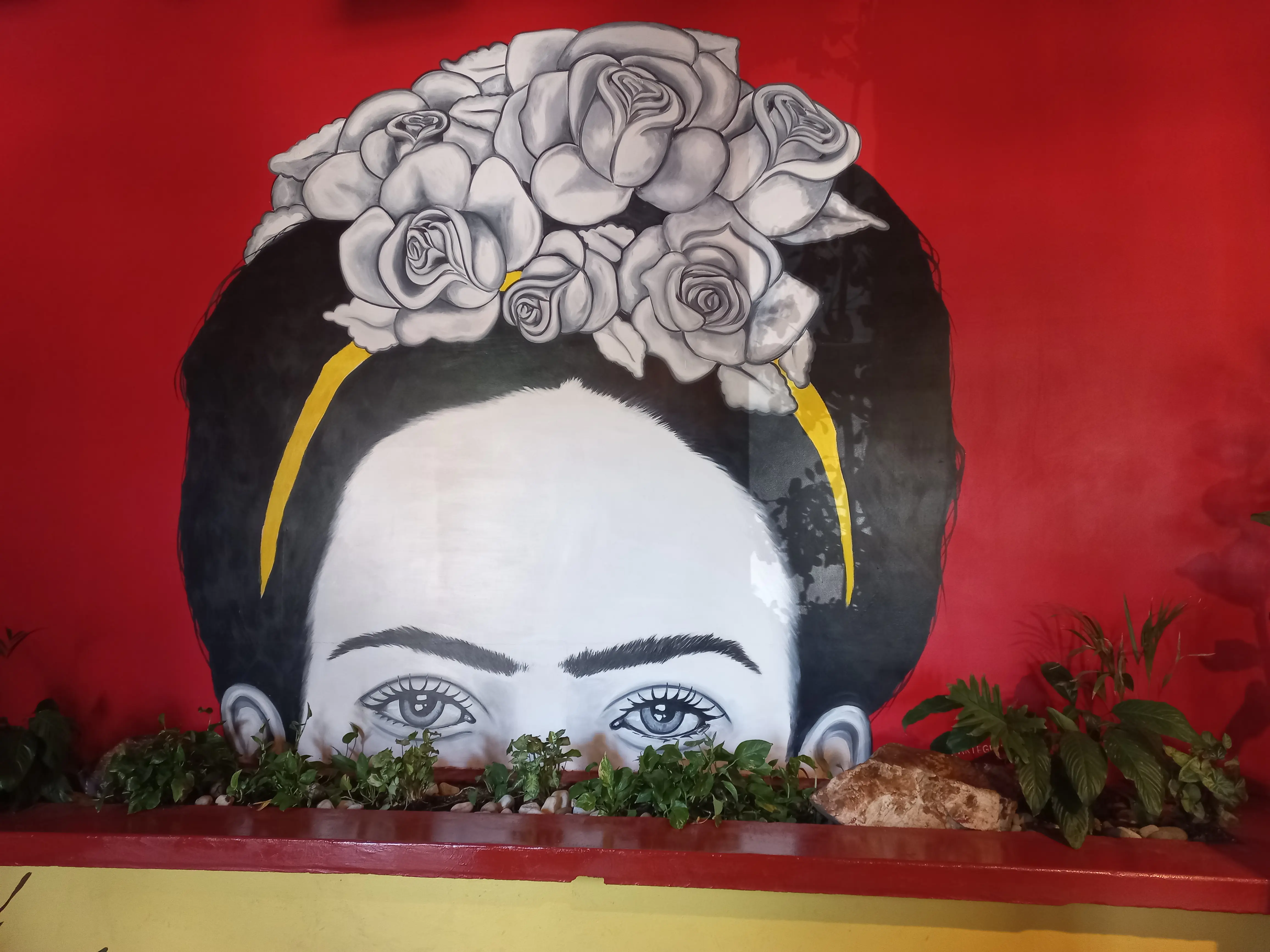 La casa de Julia image 4