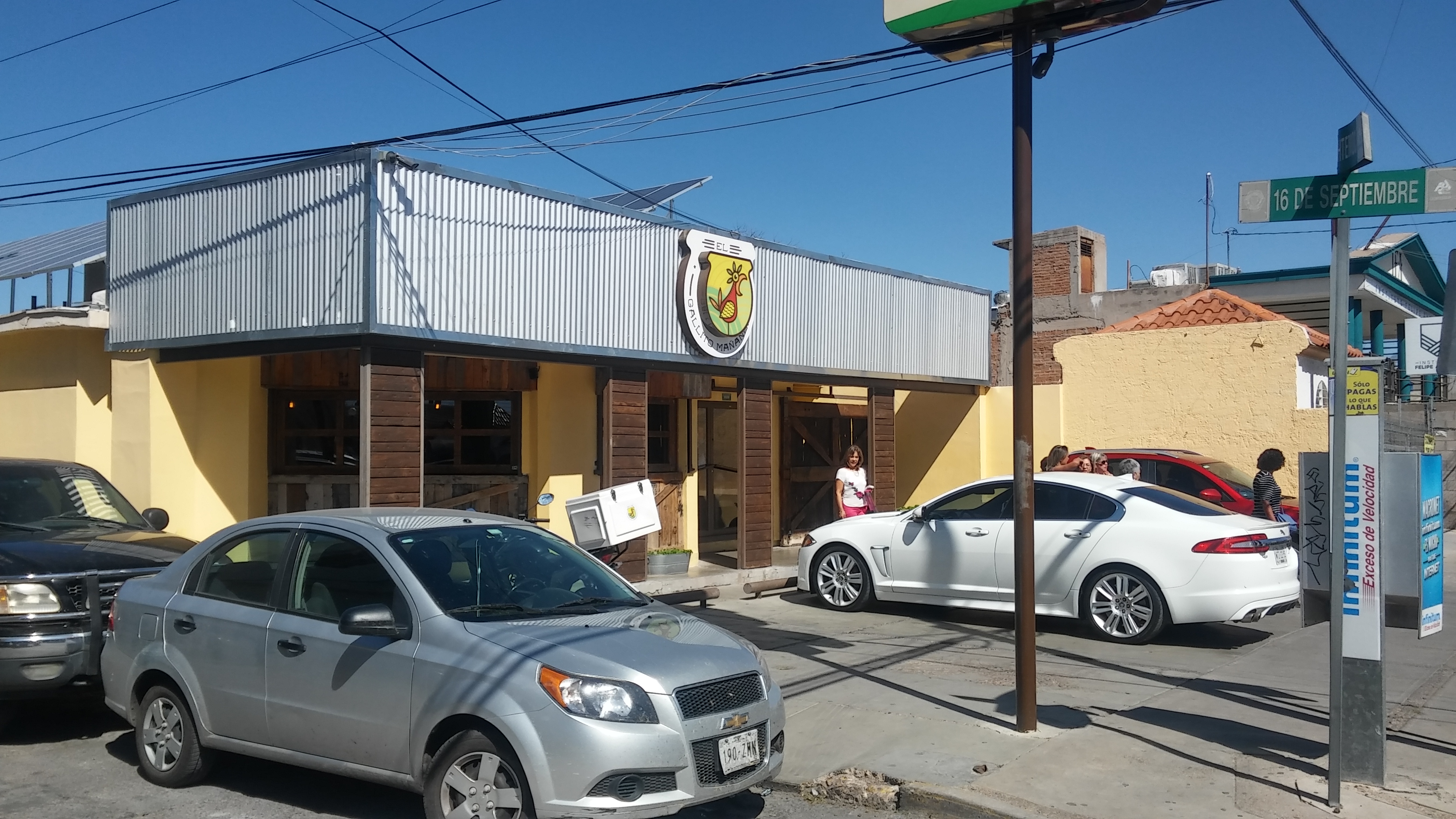 El gallito mañanero image 1