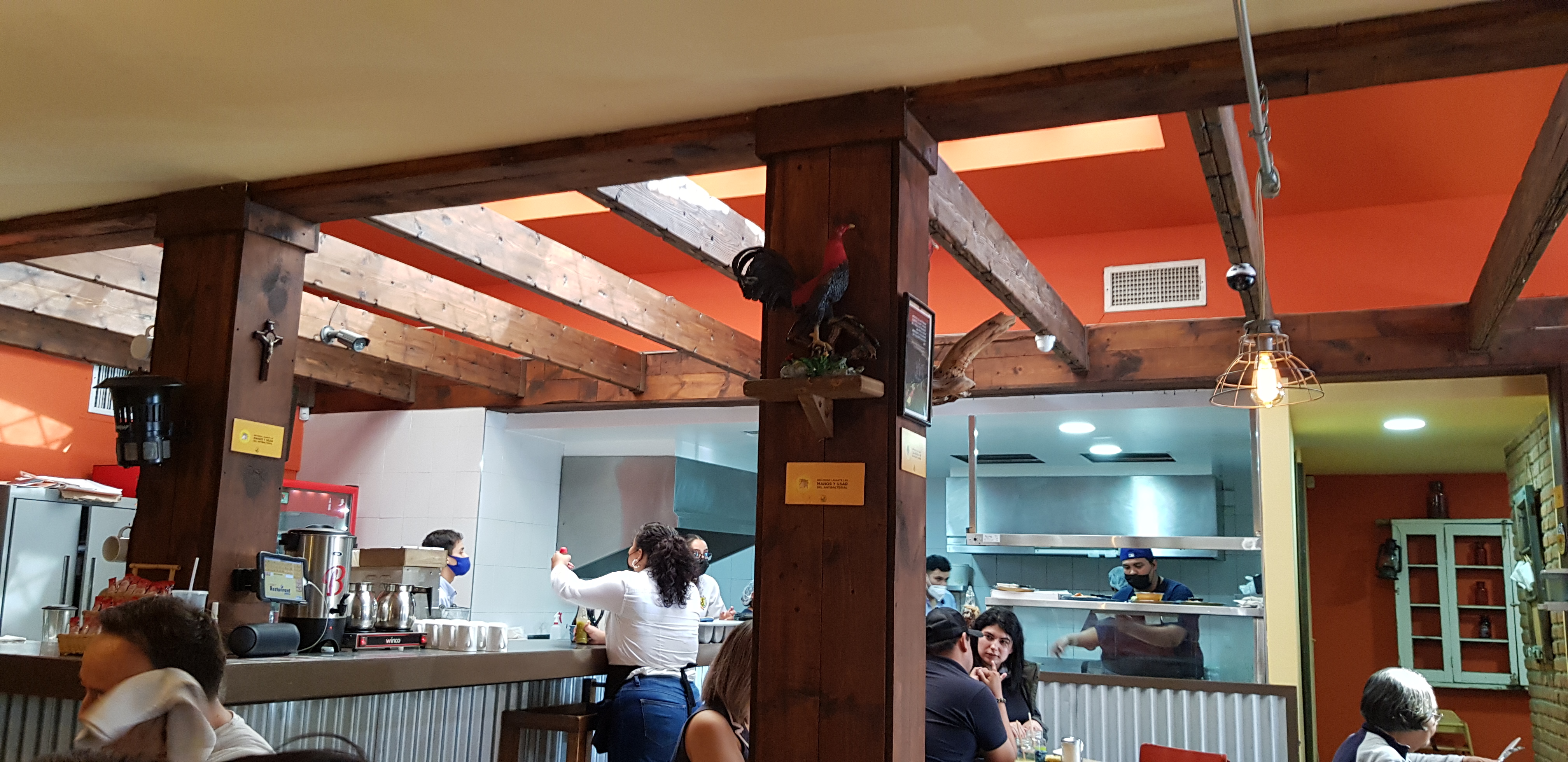 El gallito mañanero image 8