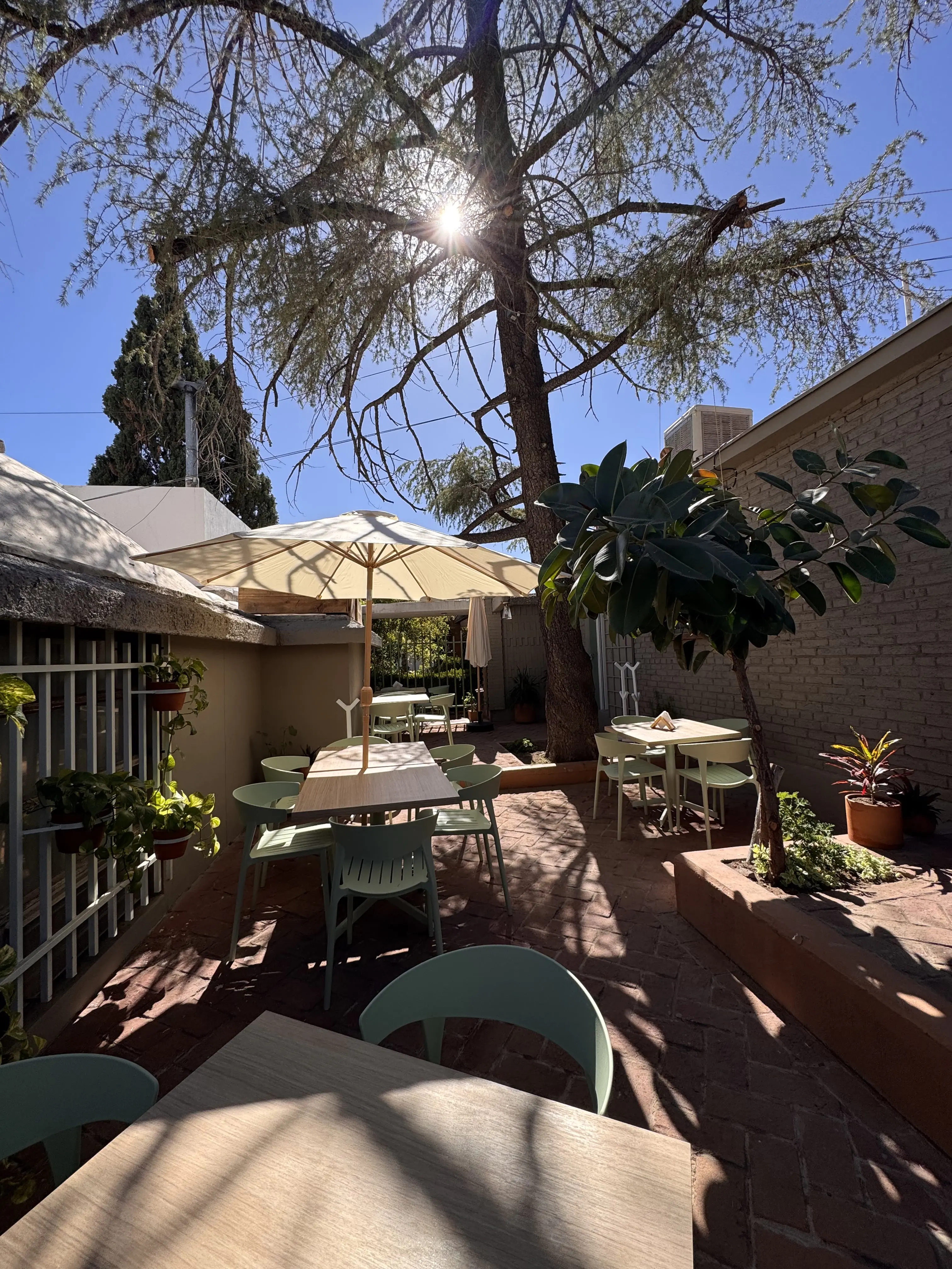 Hoja santa Restaurant image 4