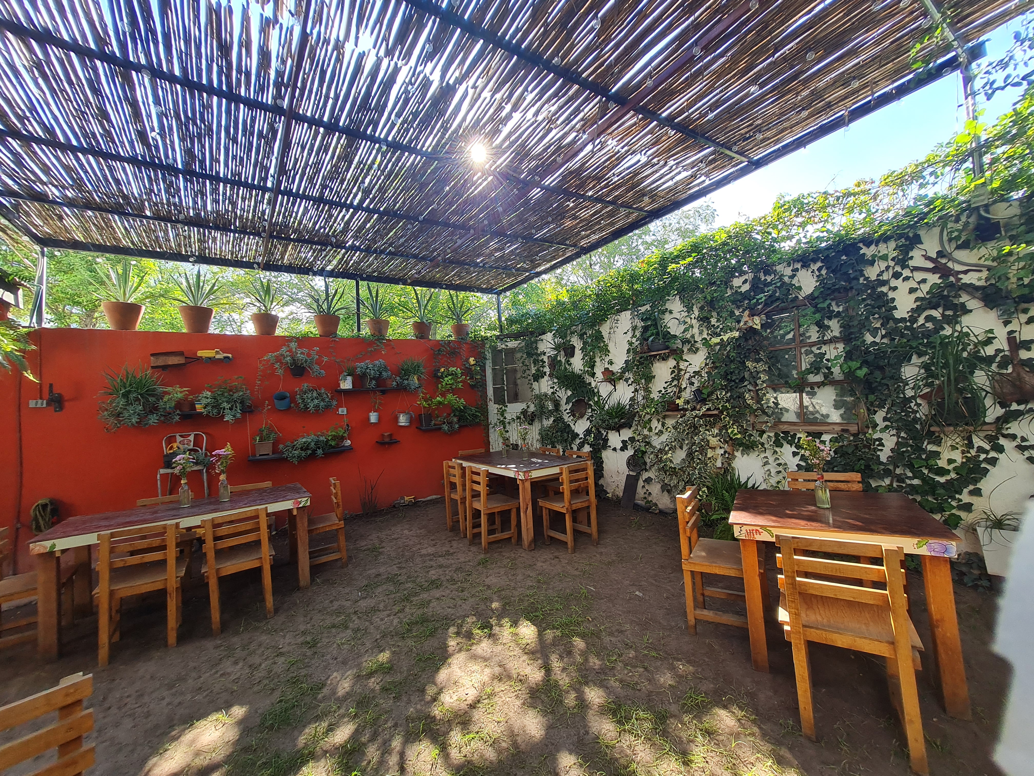 Quiote. El Restaurante image 1