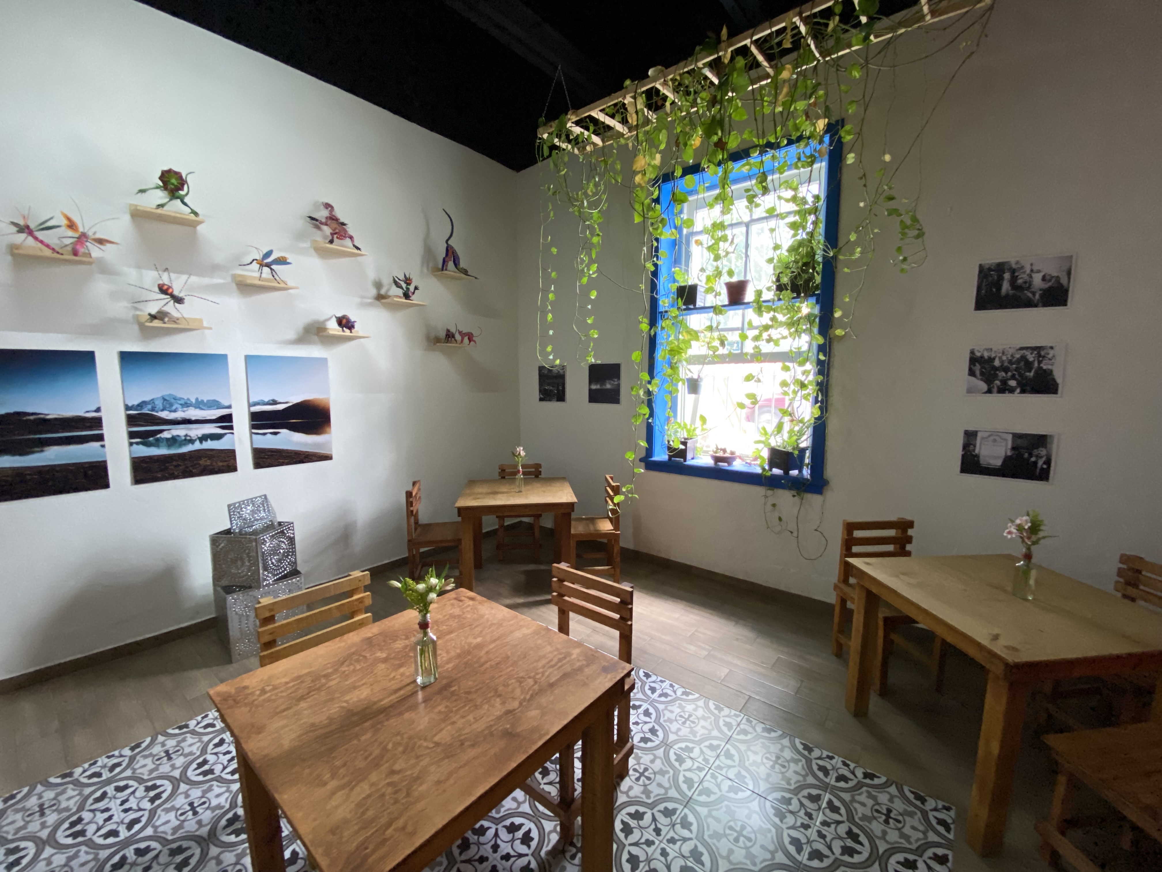 Quiote. El Restaurante image 4