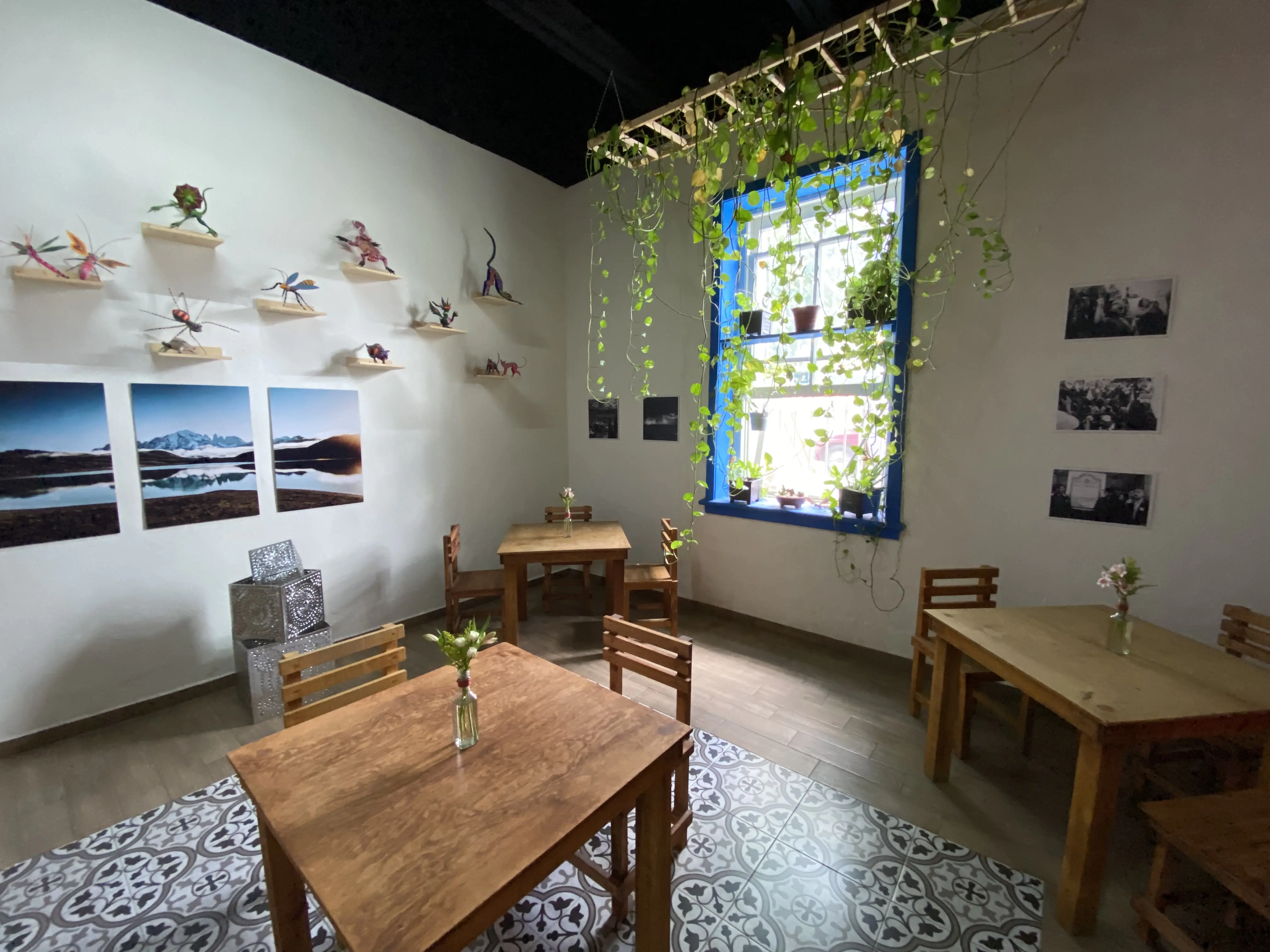 Quiote. El Restaurante image 4