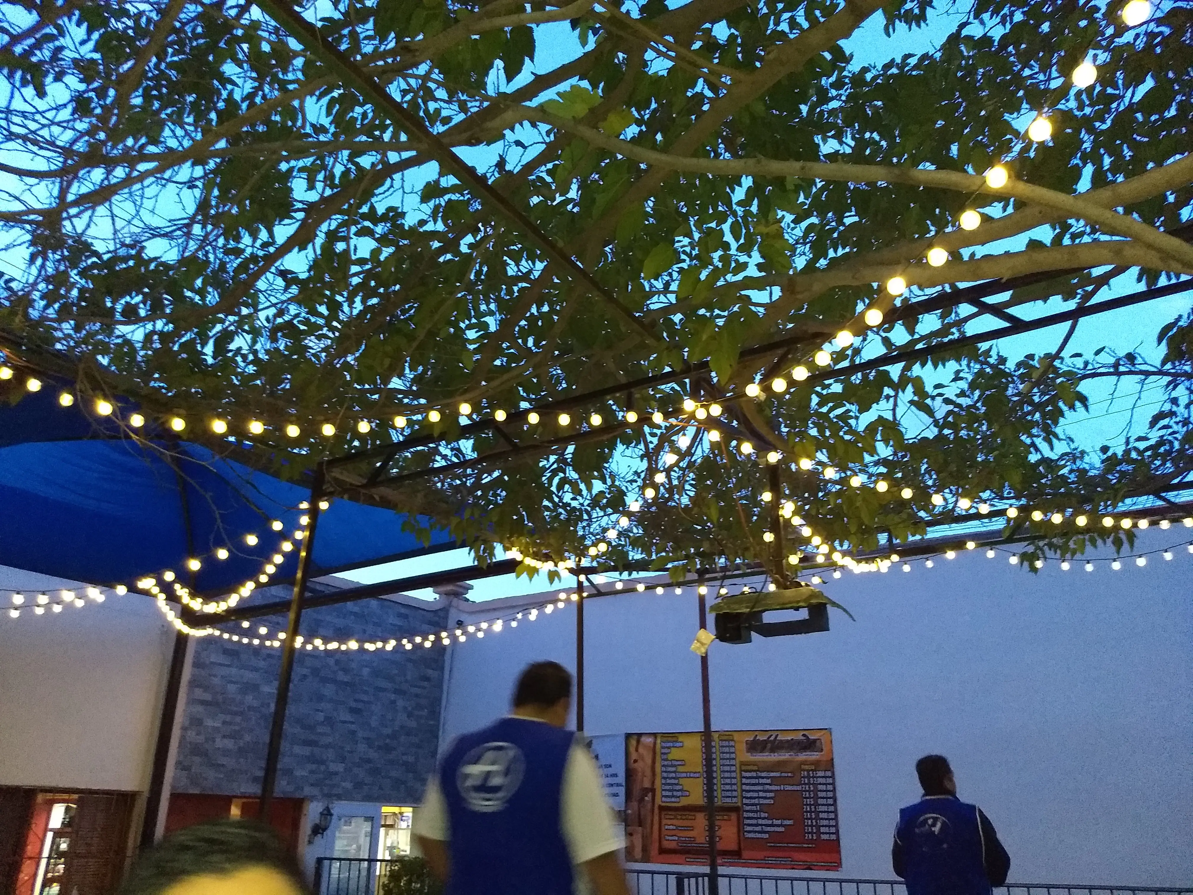 La Hacienda de Chihuahua Drive Inn image 9