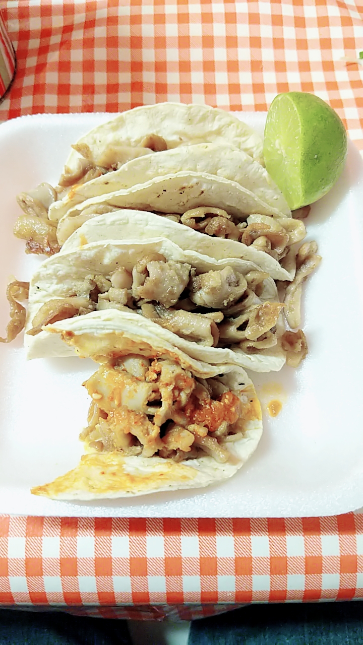 Tacos Nonoava image 8