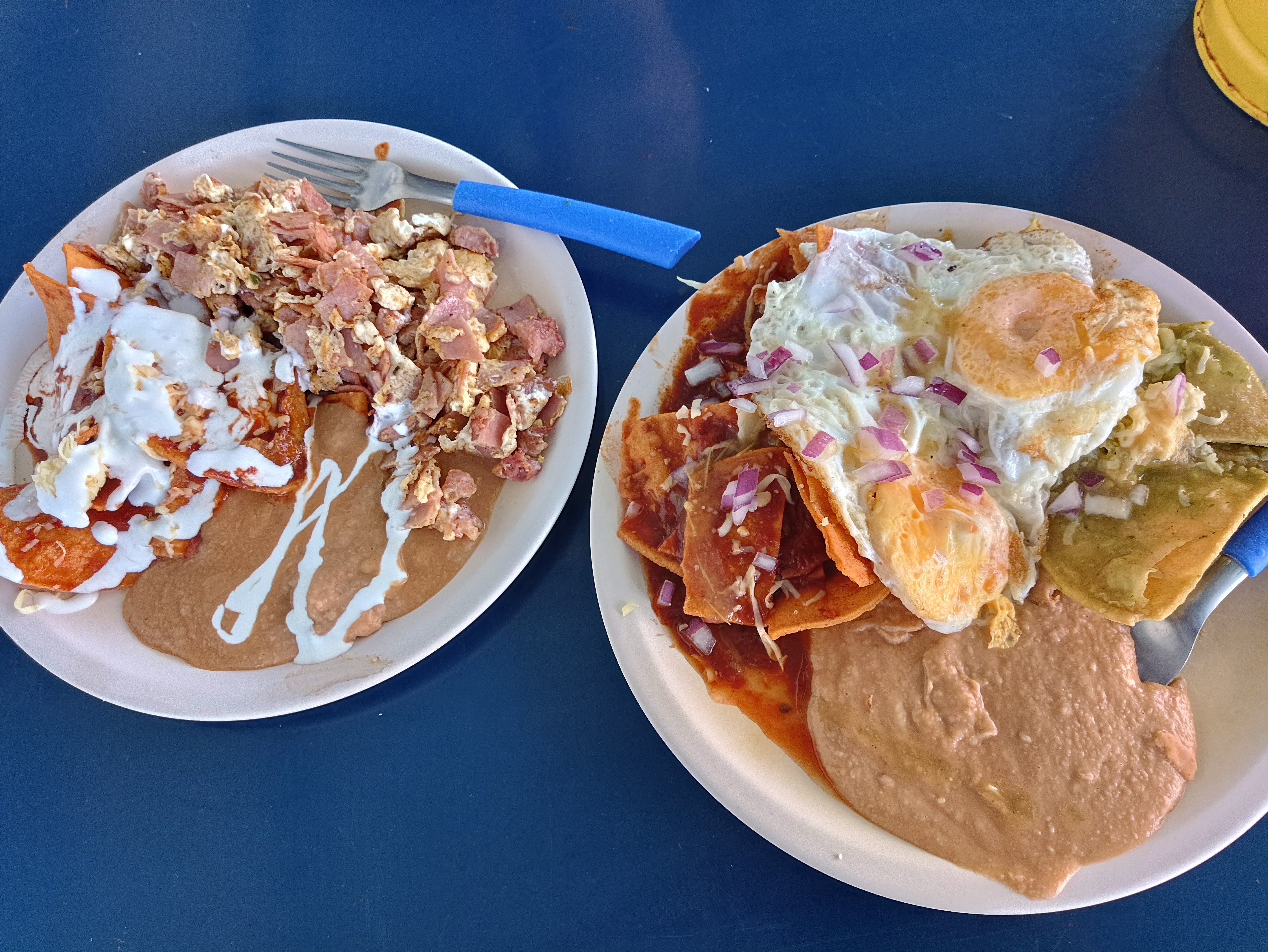 Aquímis Huevos image 4