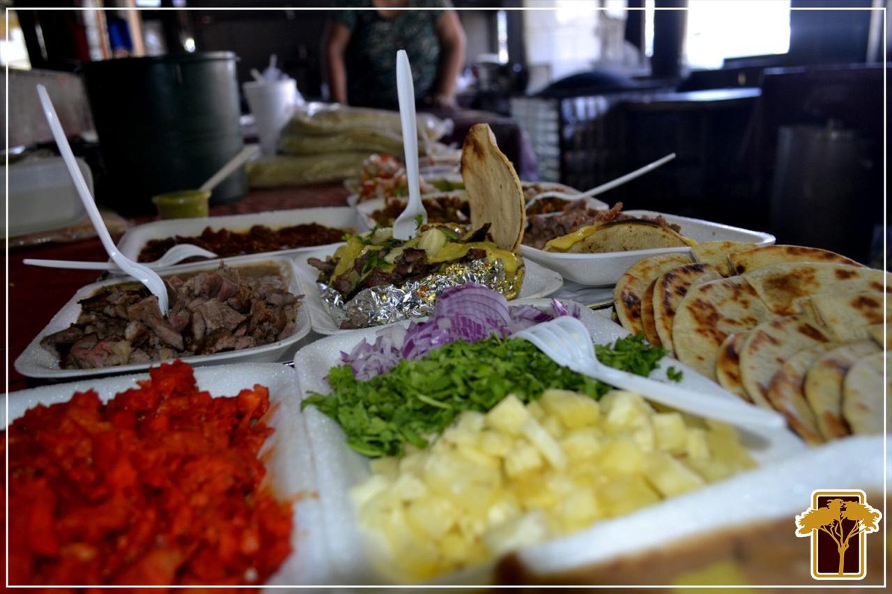 El Mezquite del Hector Espino image 1