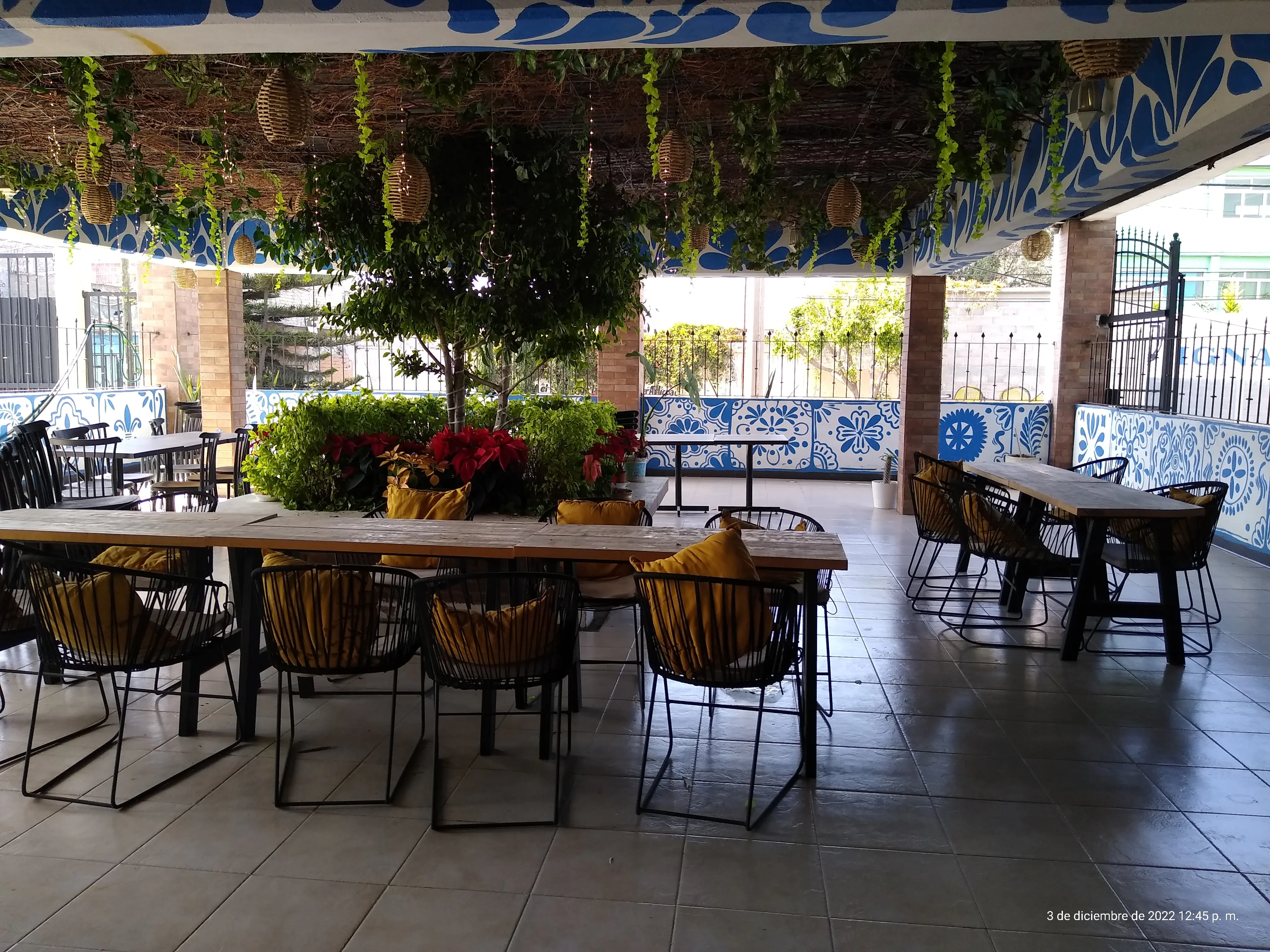 Restaurante Fonda Margarita La Paz image 10