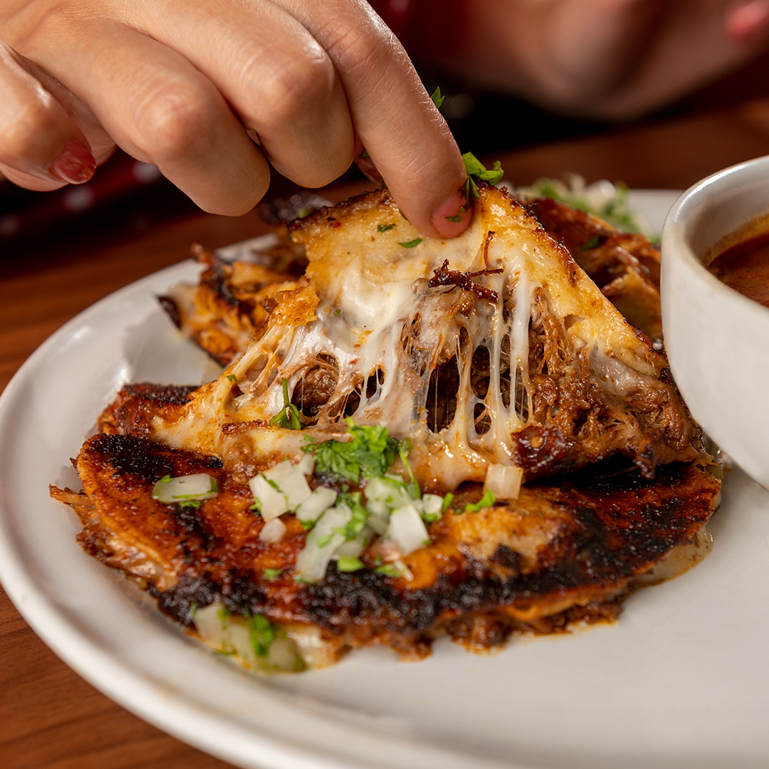 Terra Restaurant image 2