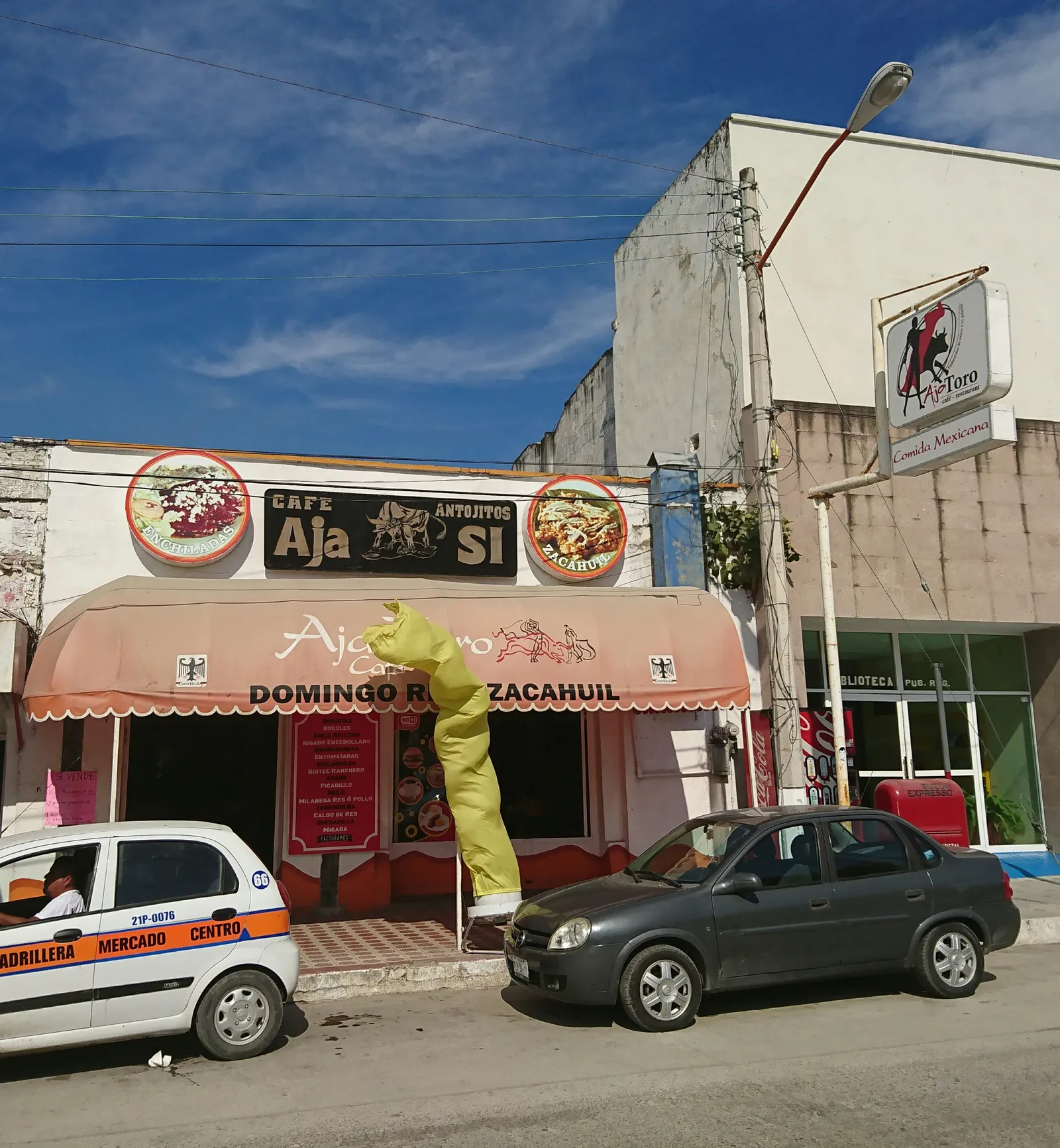 Aja Toro image 1