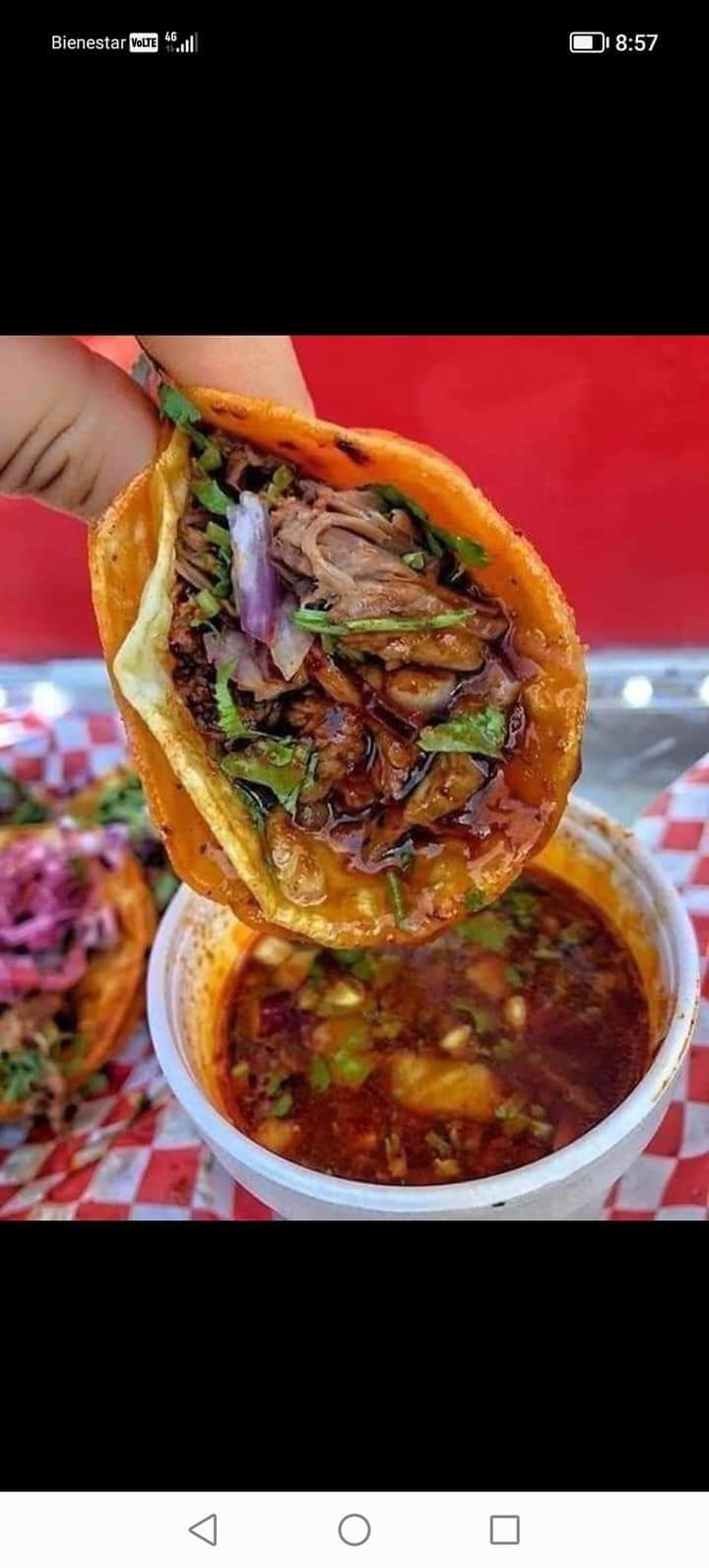 Taqueria N 21 image 9