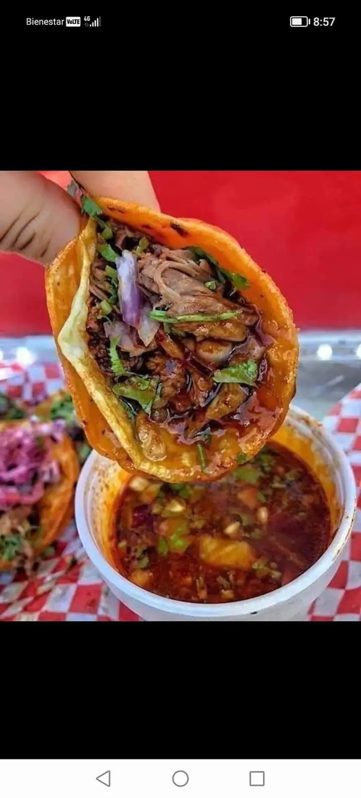 Taqueria N 21 image 9