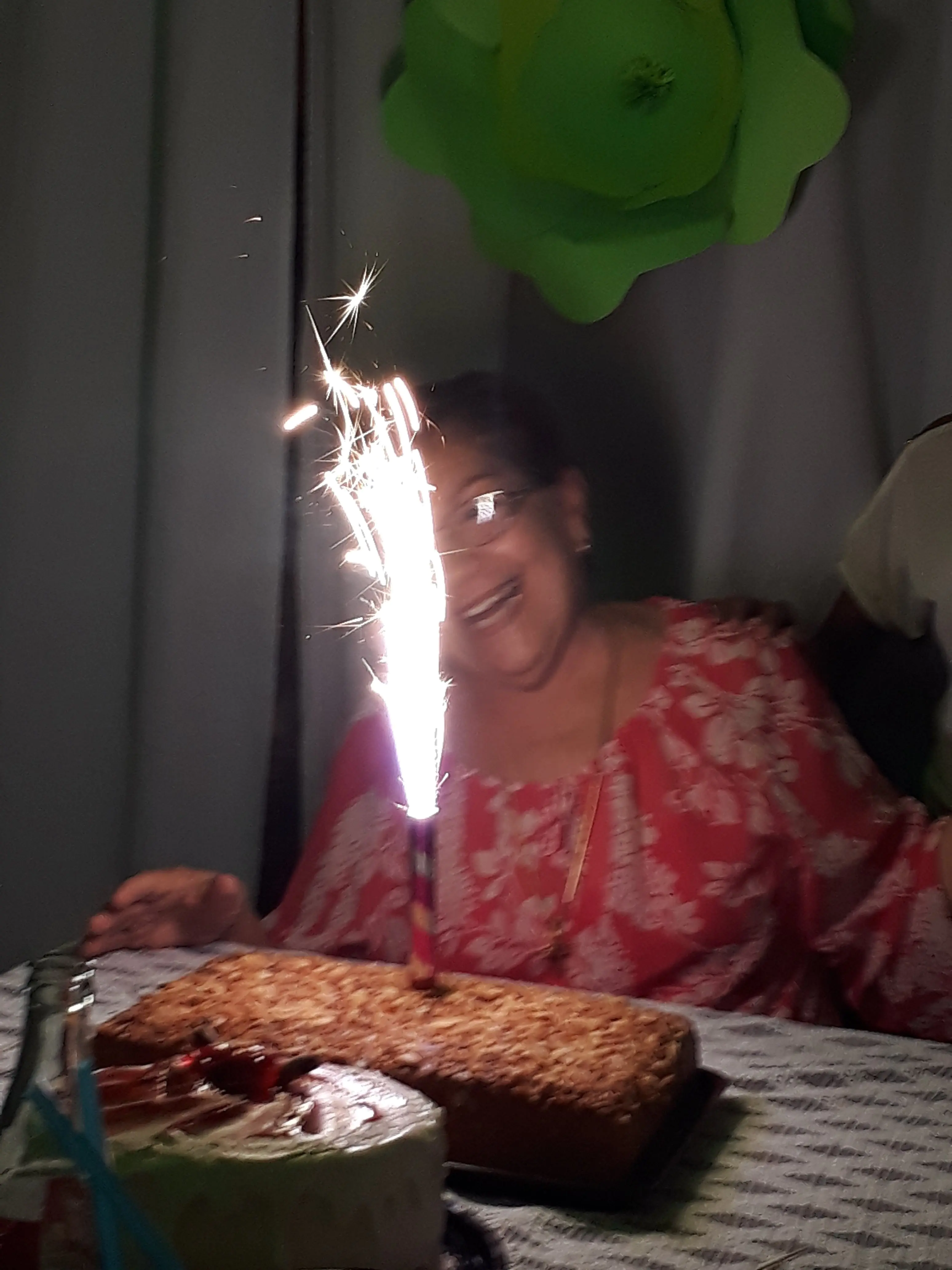 EL INVERNADERO image 10