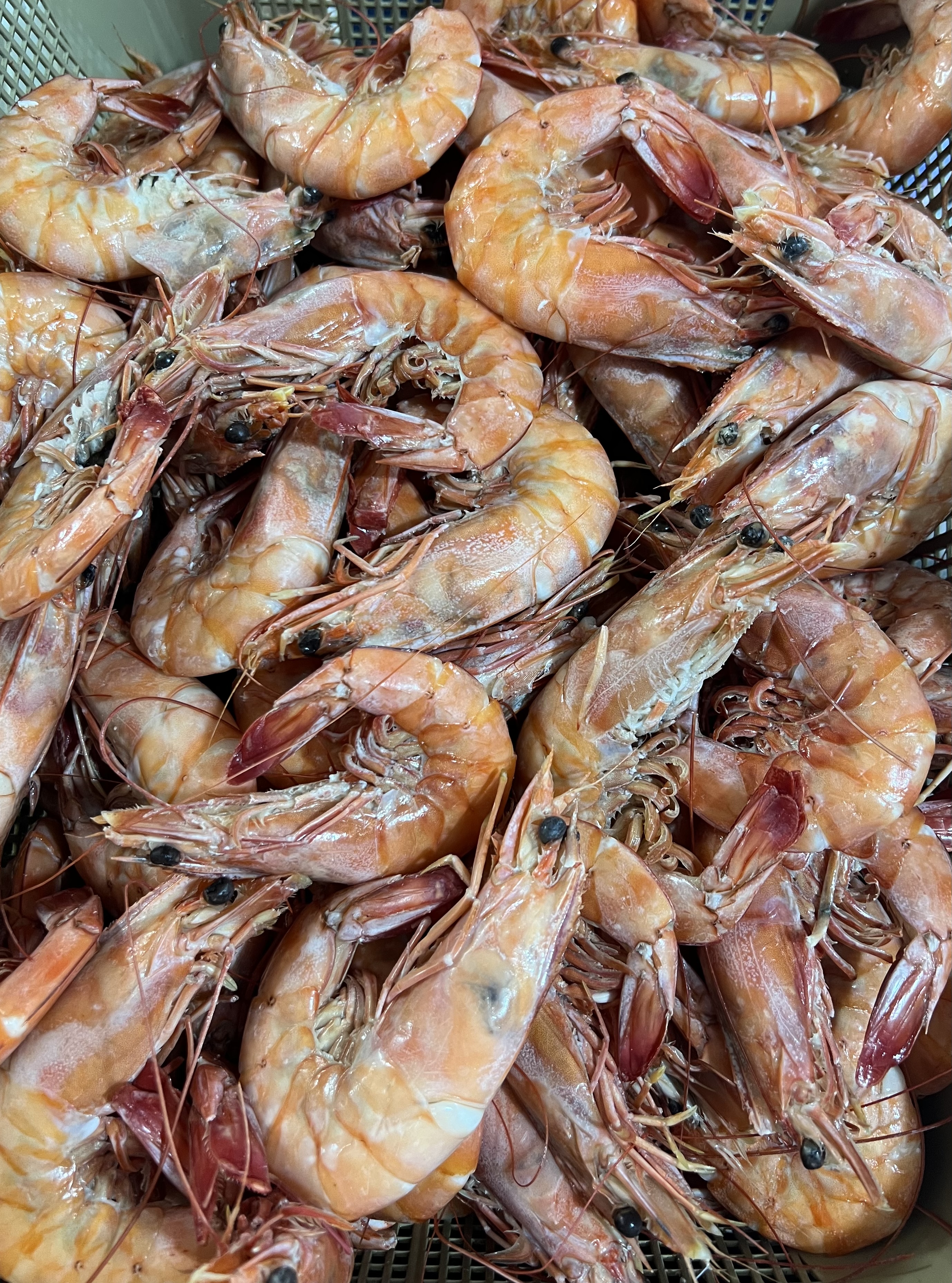 RESTAURANTE EL BUCANERO image 7