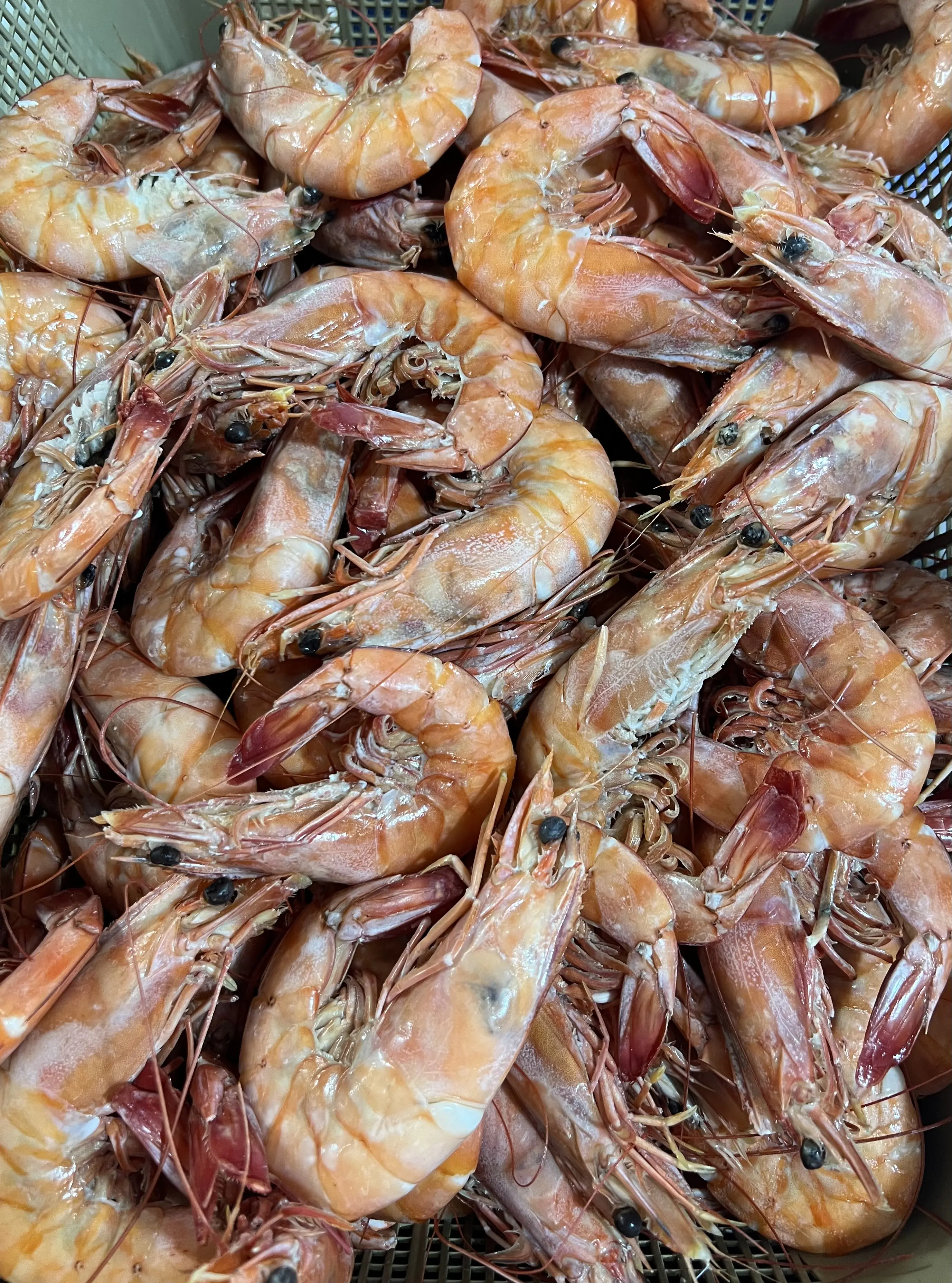 RESTAURANTE EL BUCANERO image 7