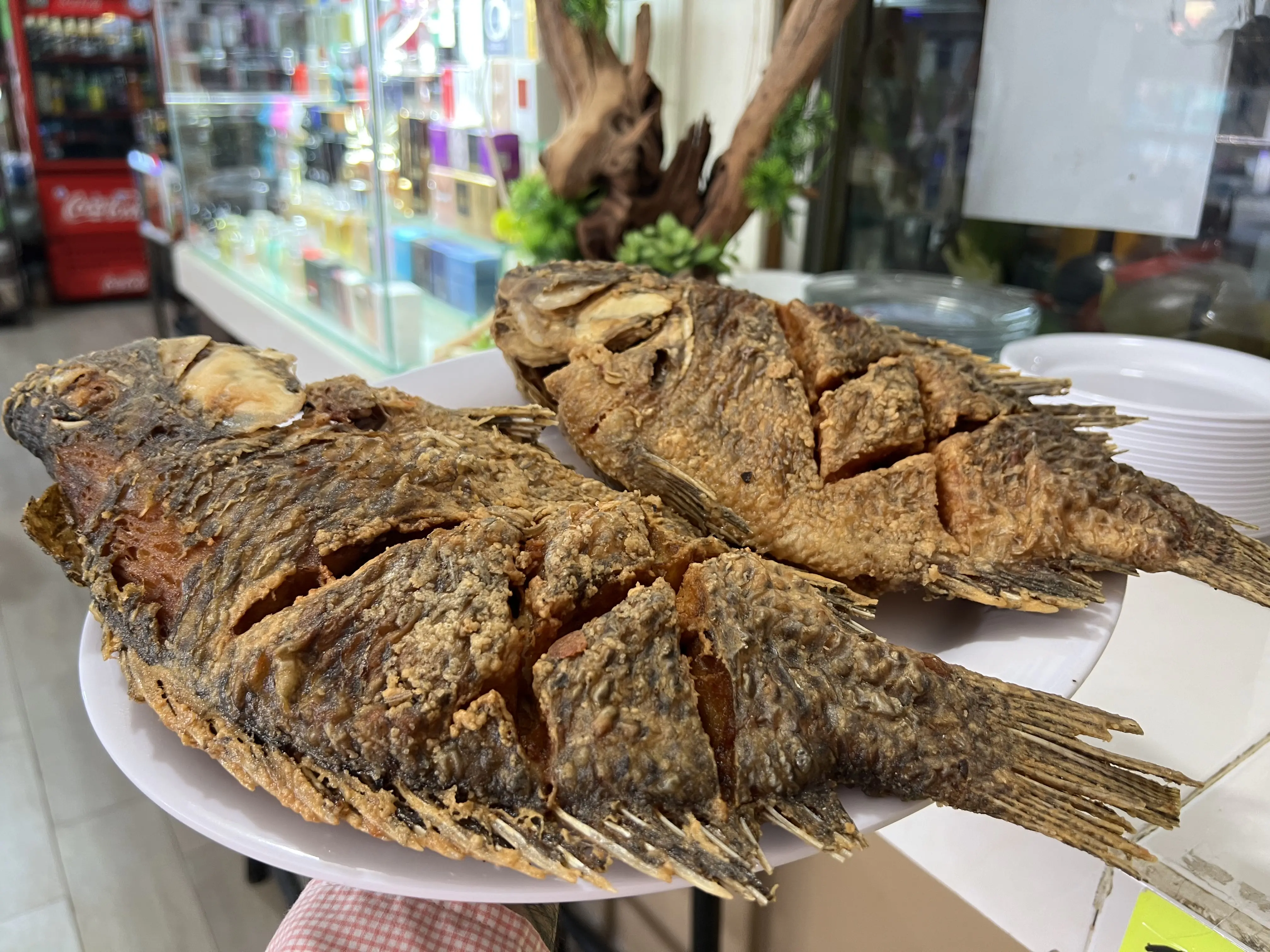 RESTAURANTE EL BUCANERO image 10