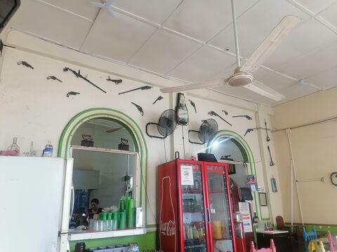Pozolito image 5