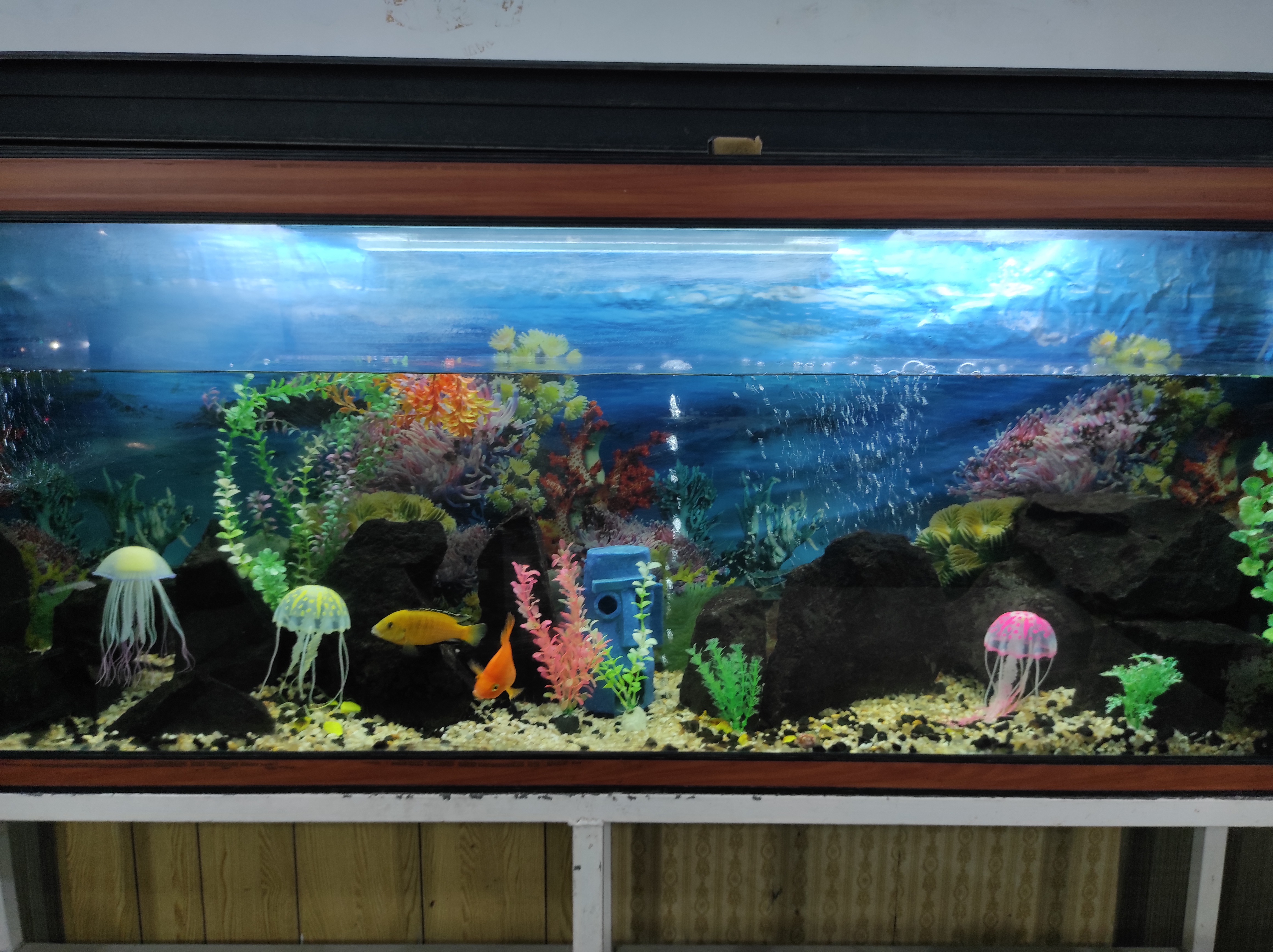 Restaurante La Fé image 4