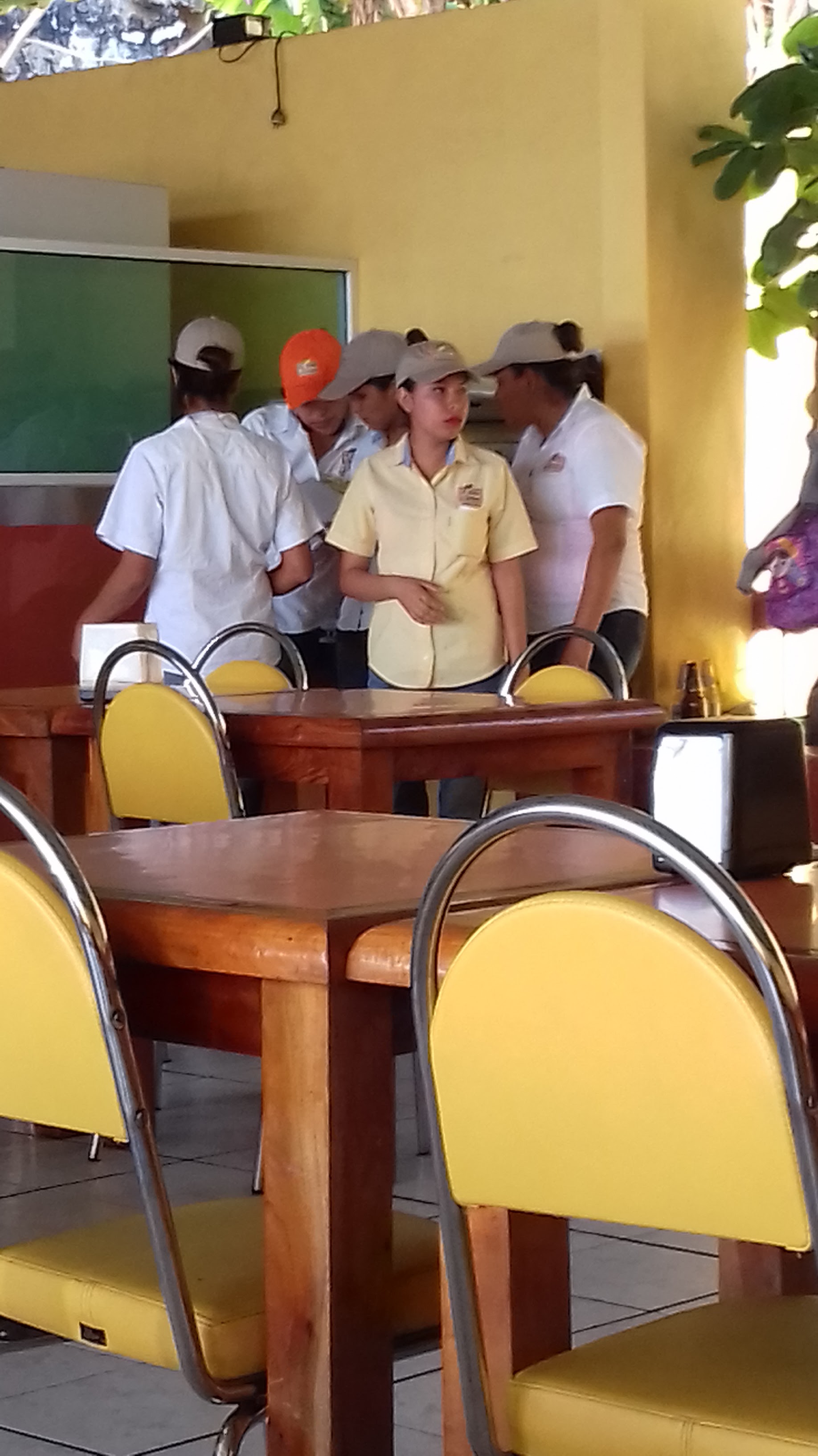 EL POLLO SINALOA image 8