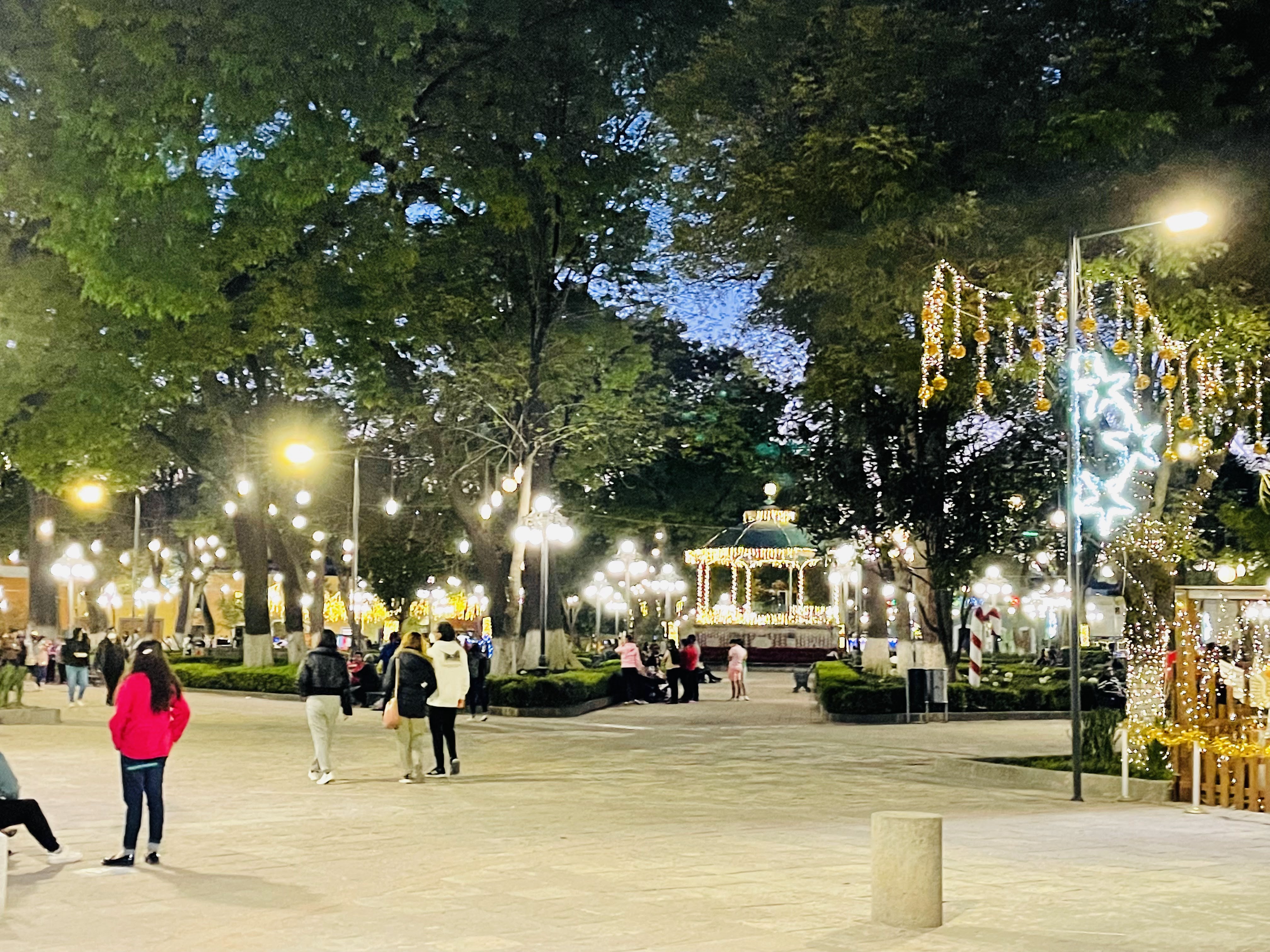 Restaurante Bar los Portales image 8