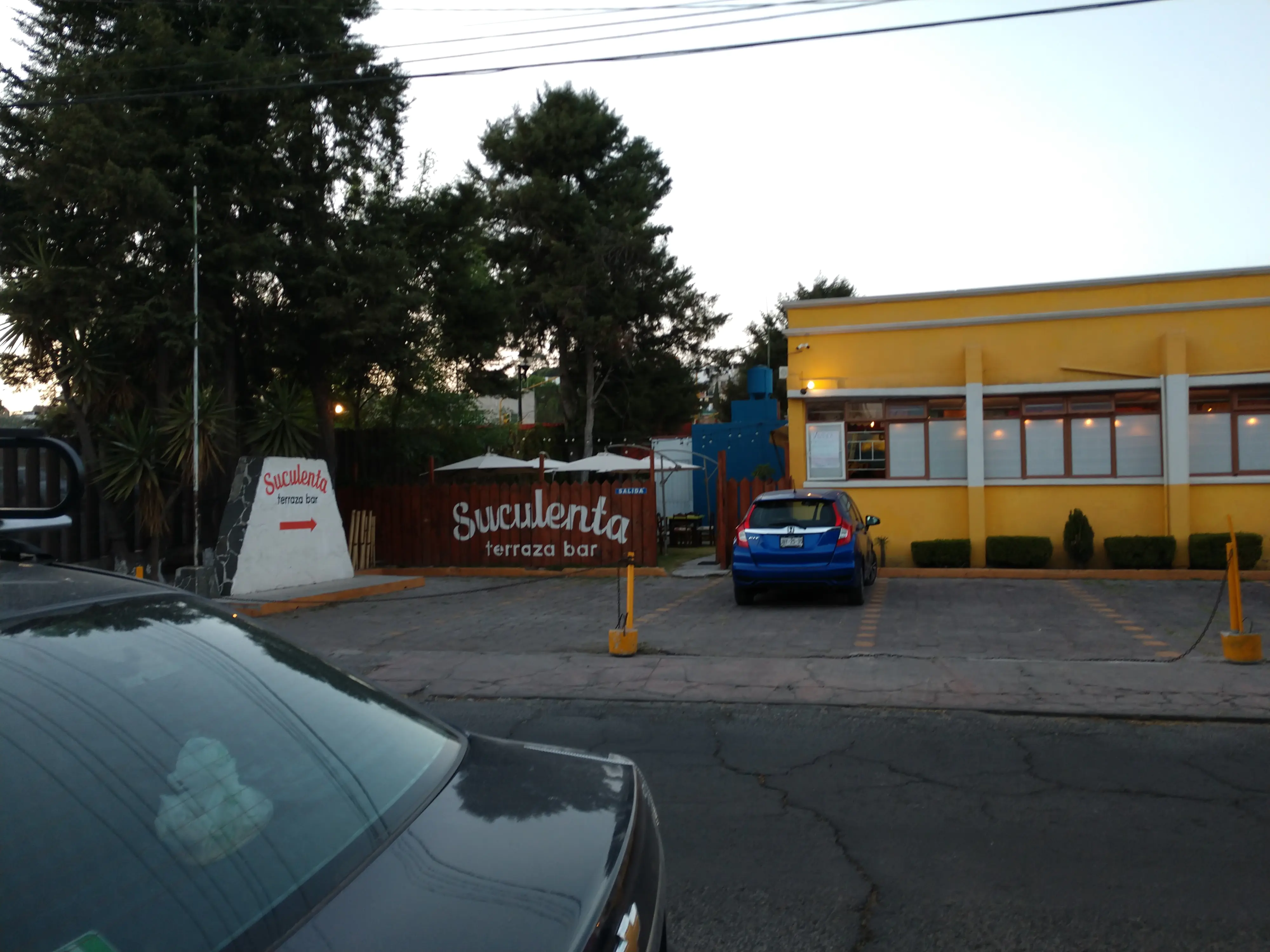 Suculenta Restaurante image 1