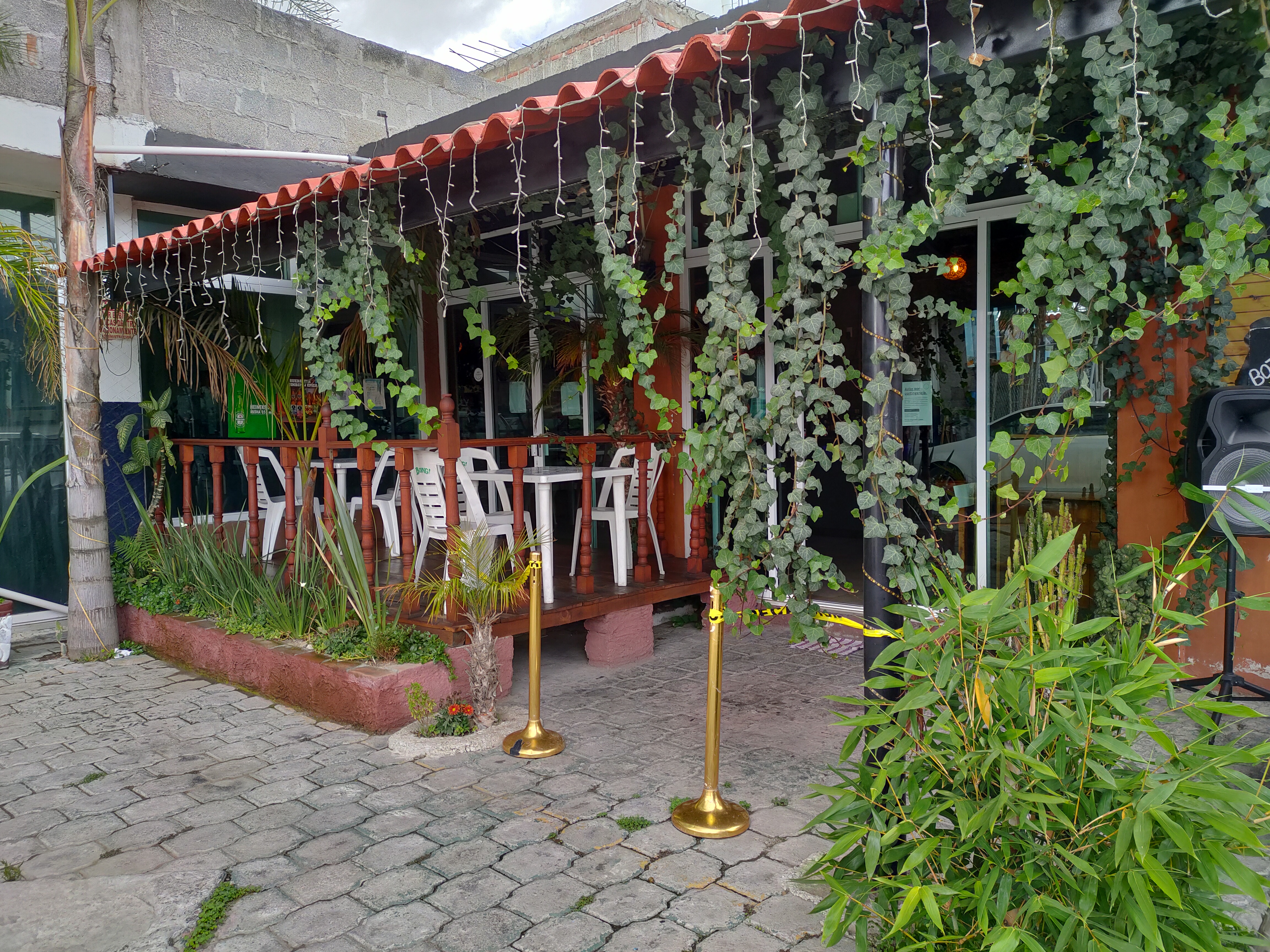 Restaurante Bar Las Palmeras image 3