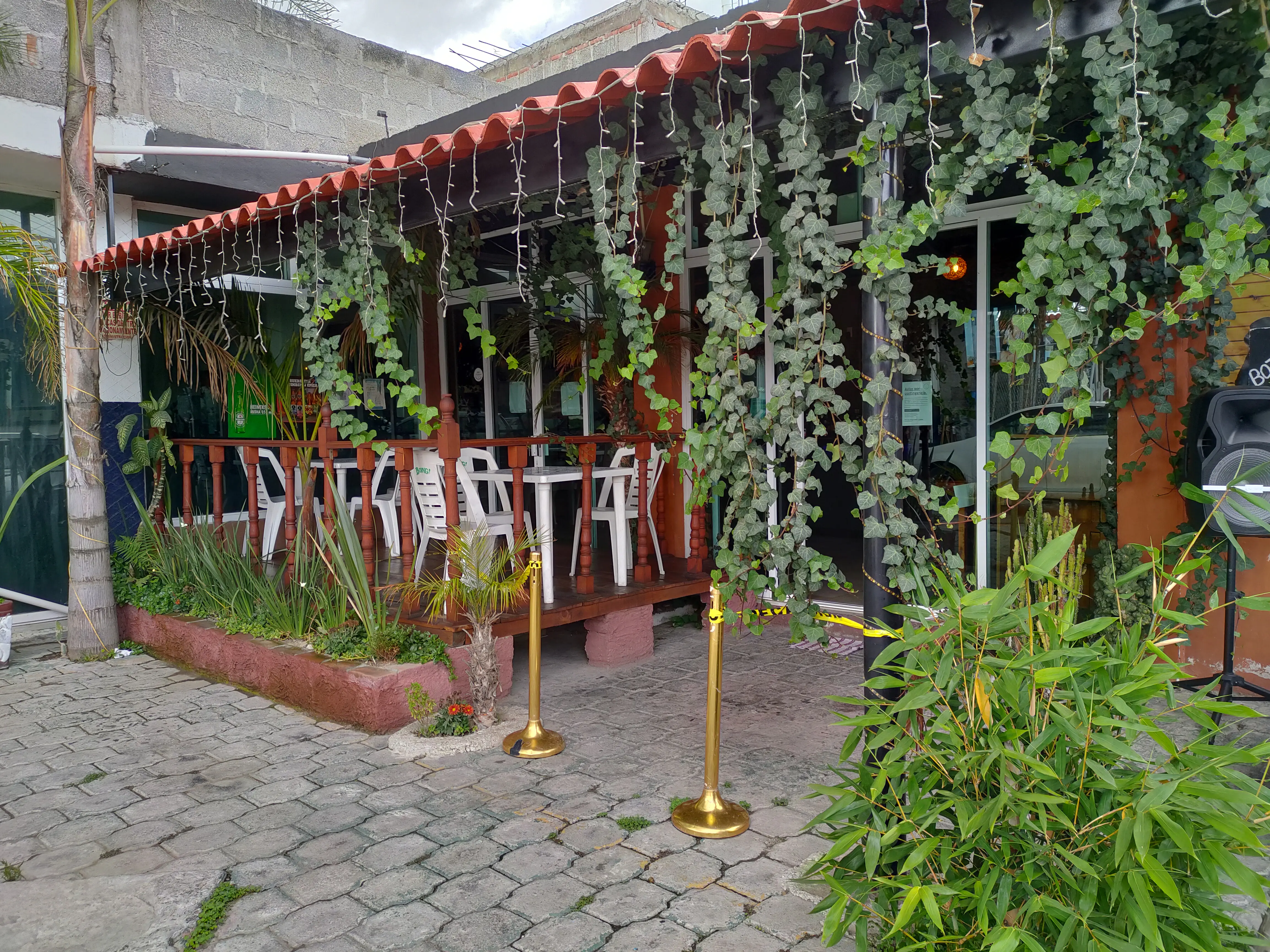 Restaurante Bar Las Palmeras image 3