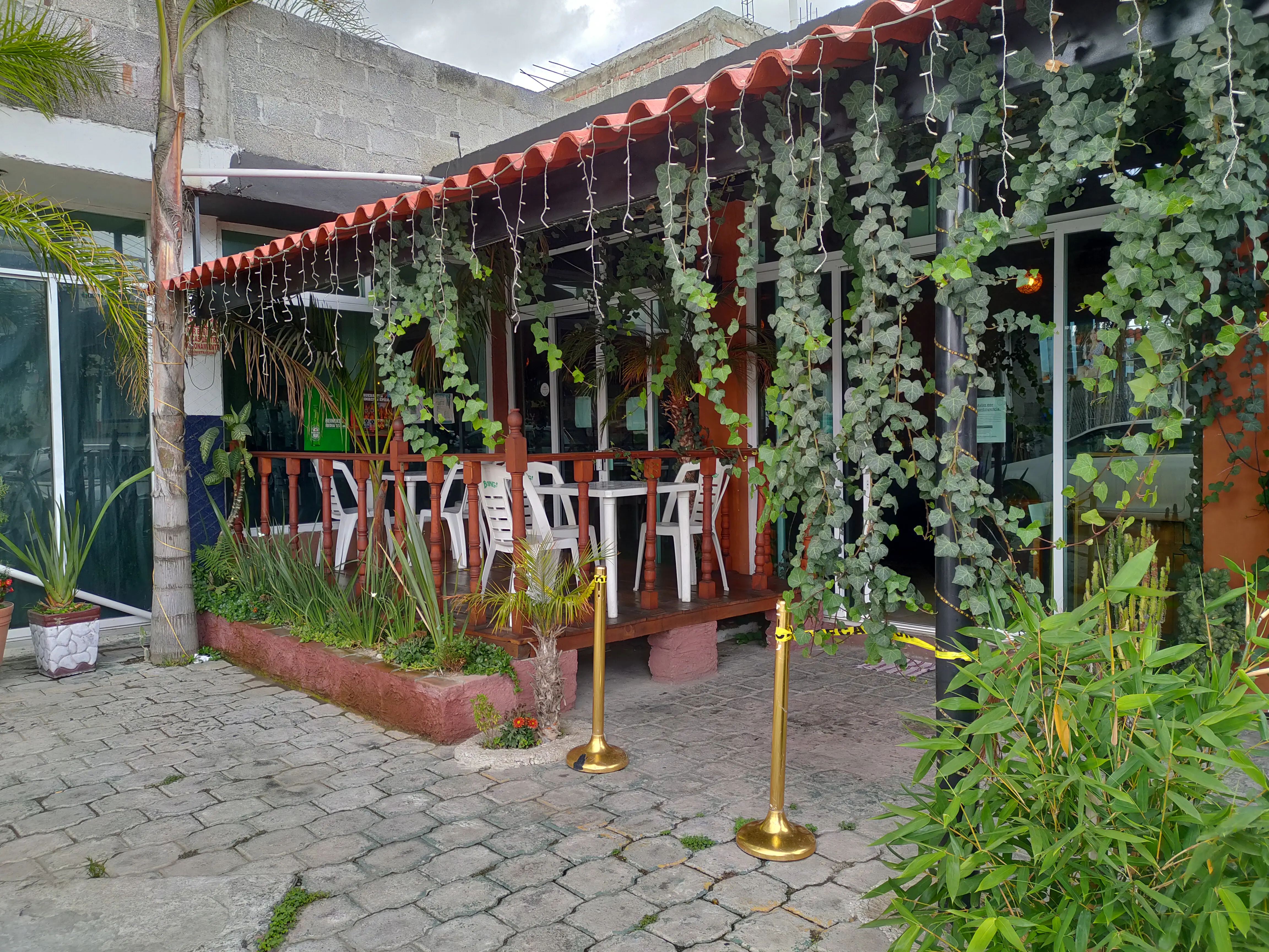 Restaurante Bar Las Palmeras image 6