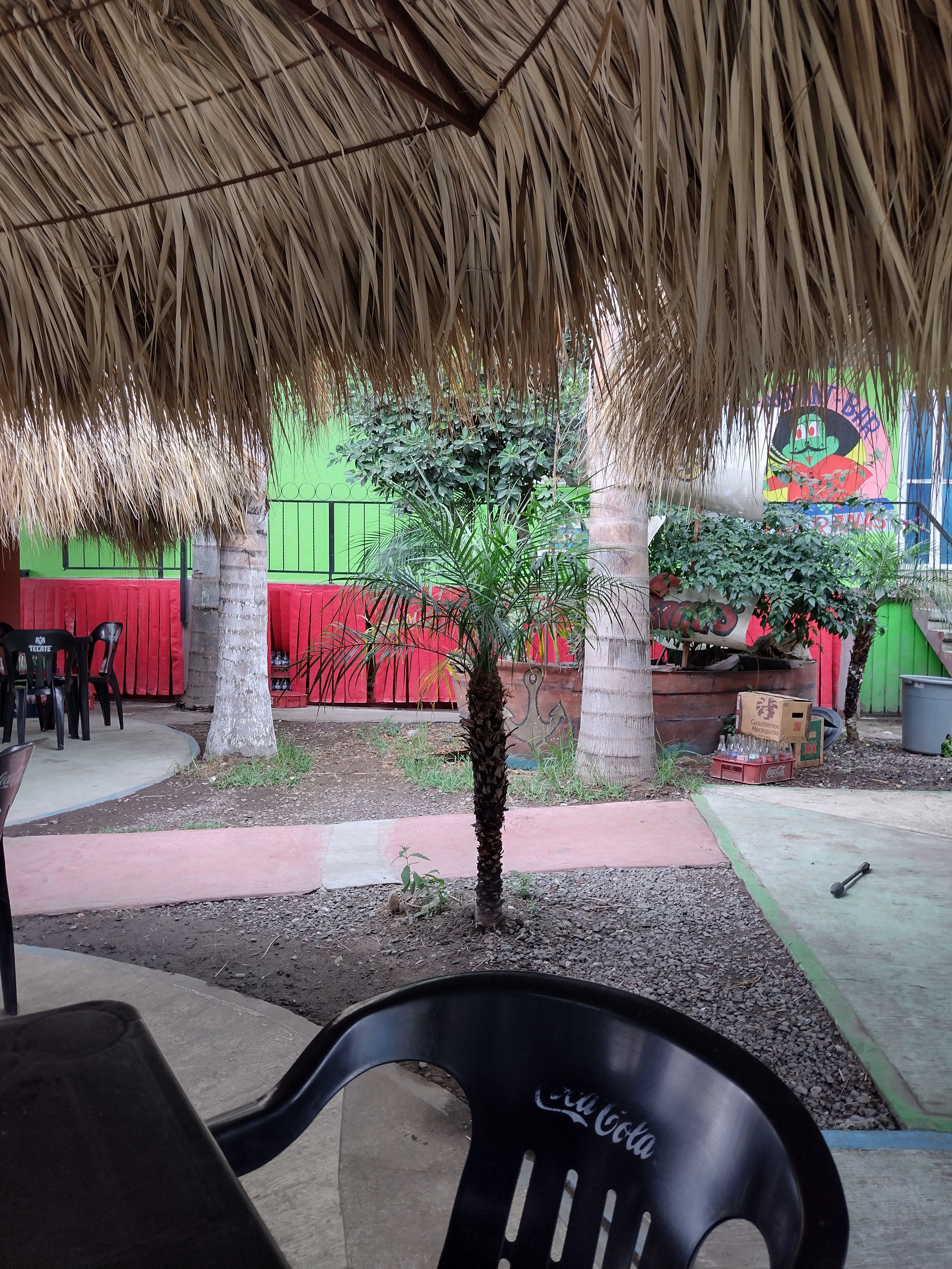 Restaurant-bar Las Ranas image 10