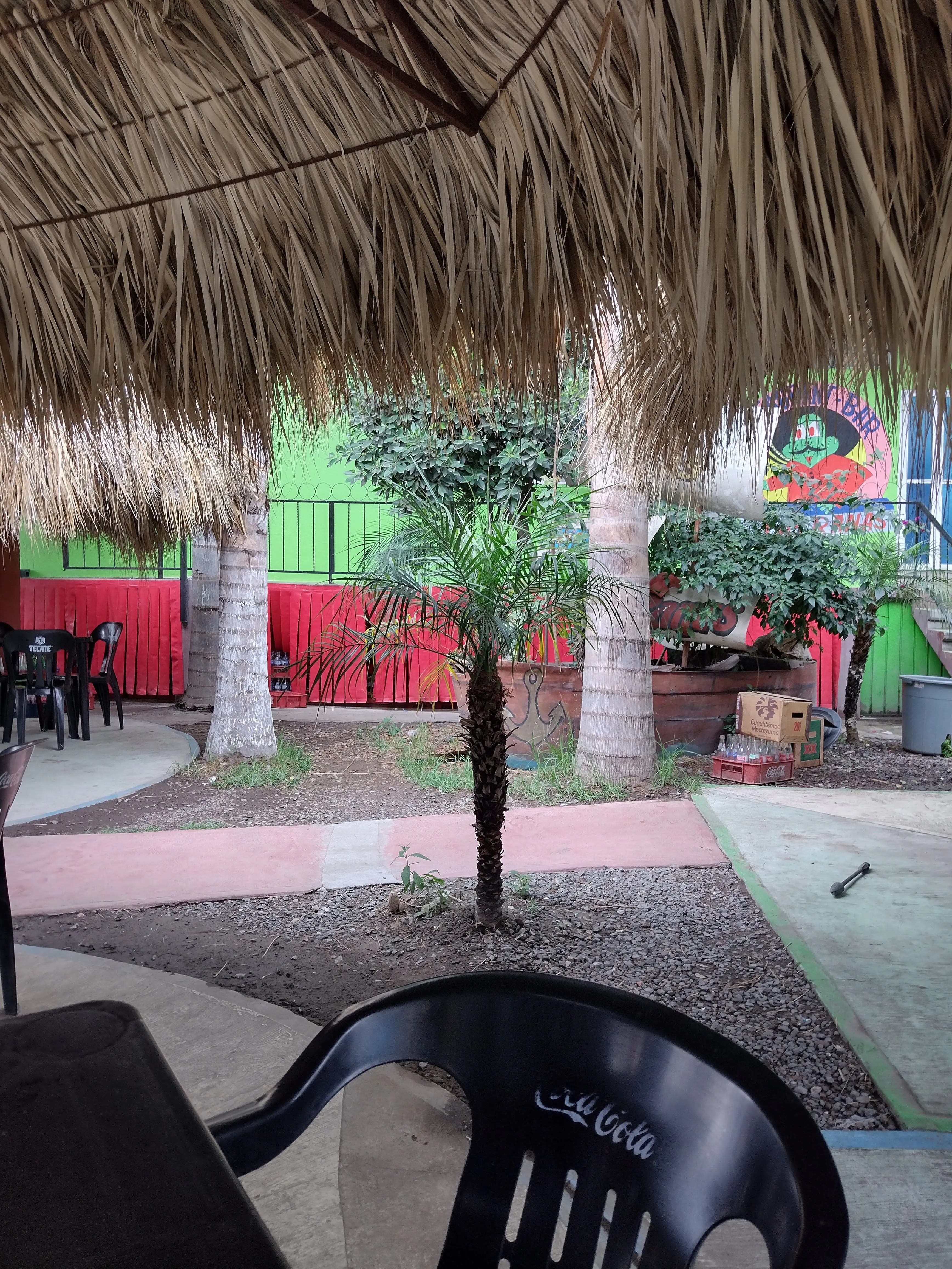 Restaurant-bar Las Ranas image 10