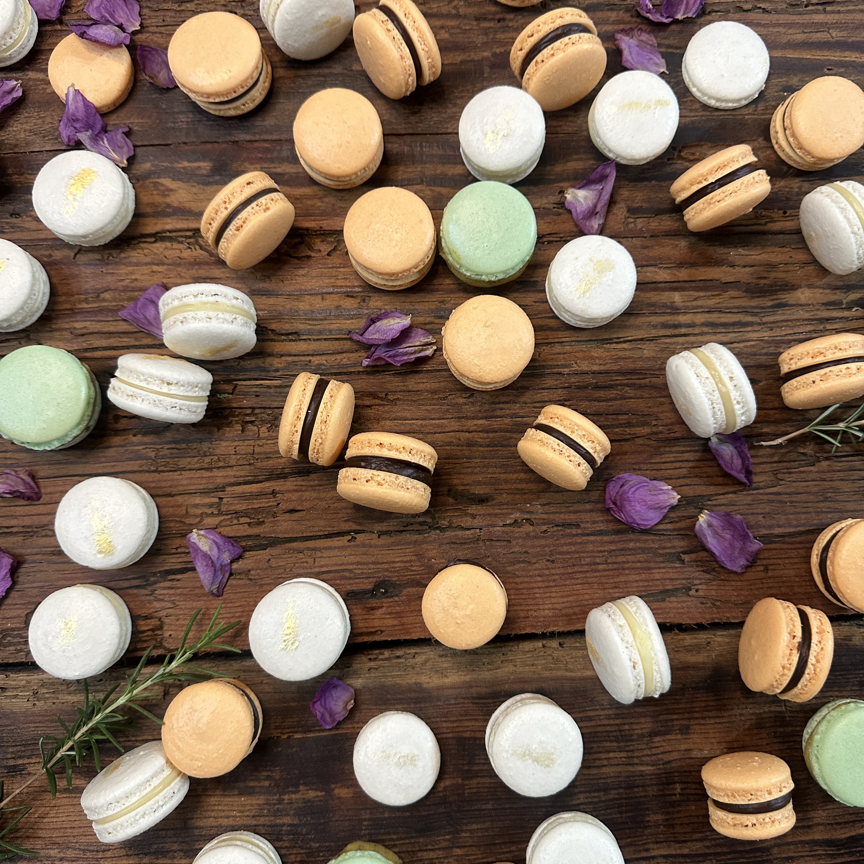 Trattoria Reforma image 7