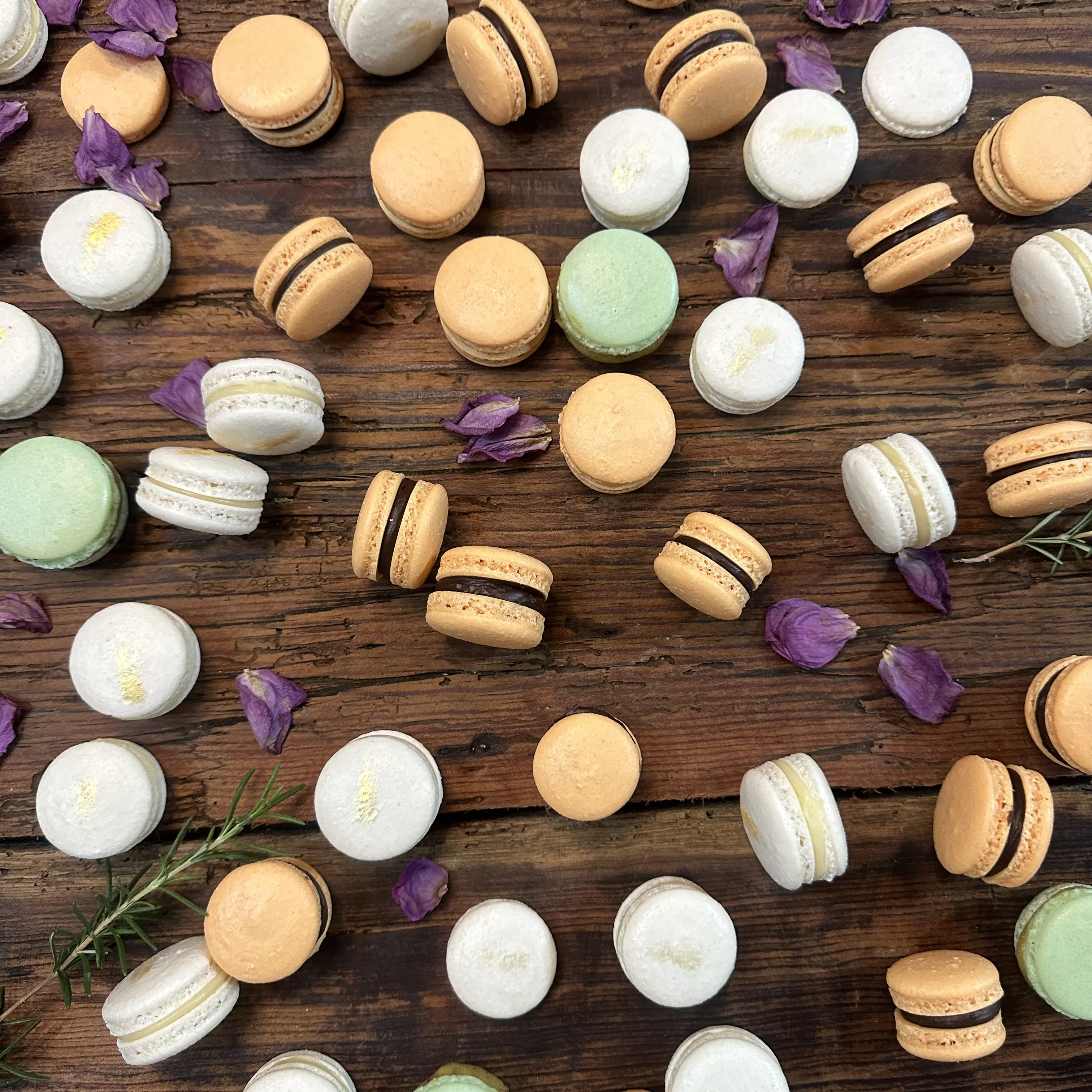 Trattoria Reforma image 7