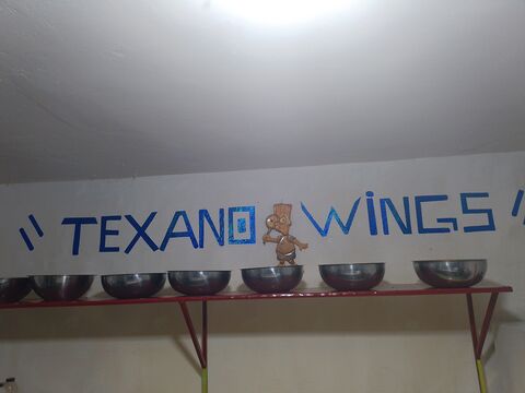 TEXANO WiNGS image 3