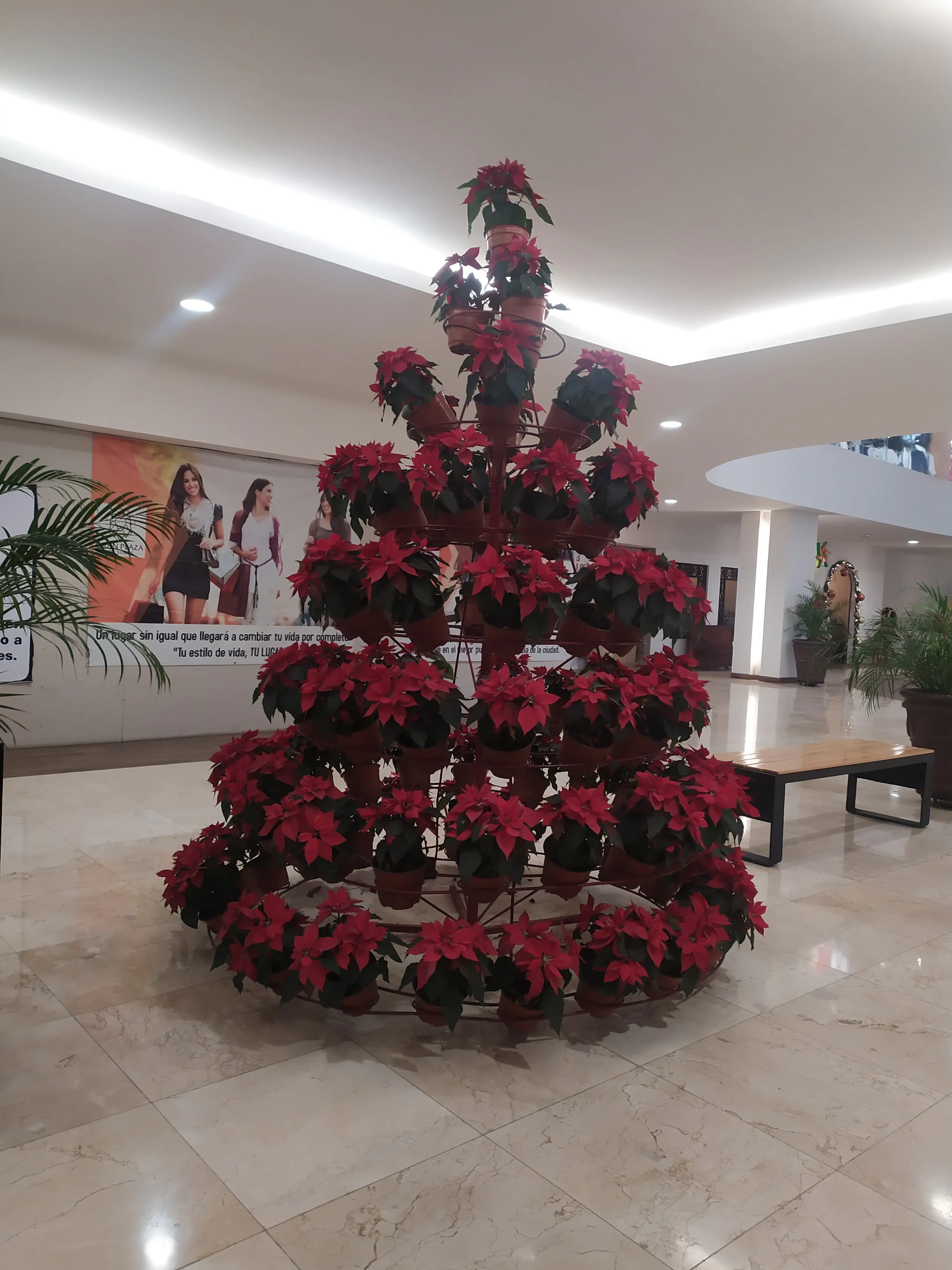 Restaurante Dips image 6