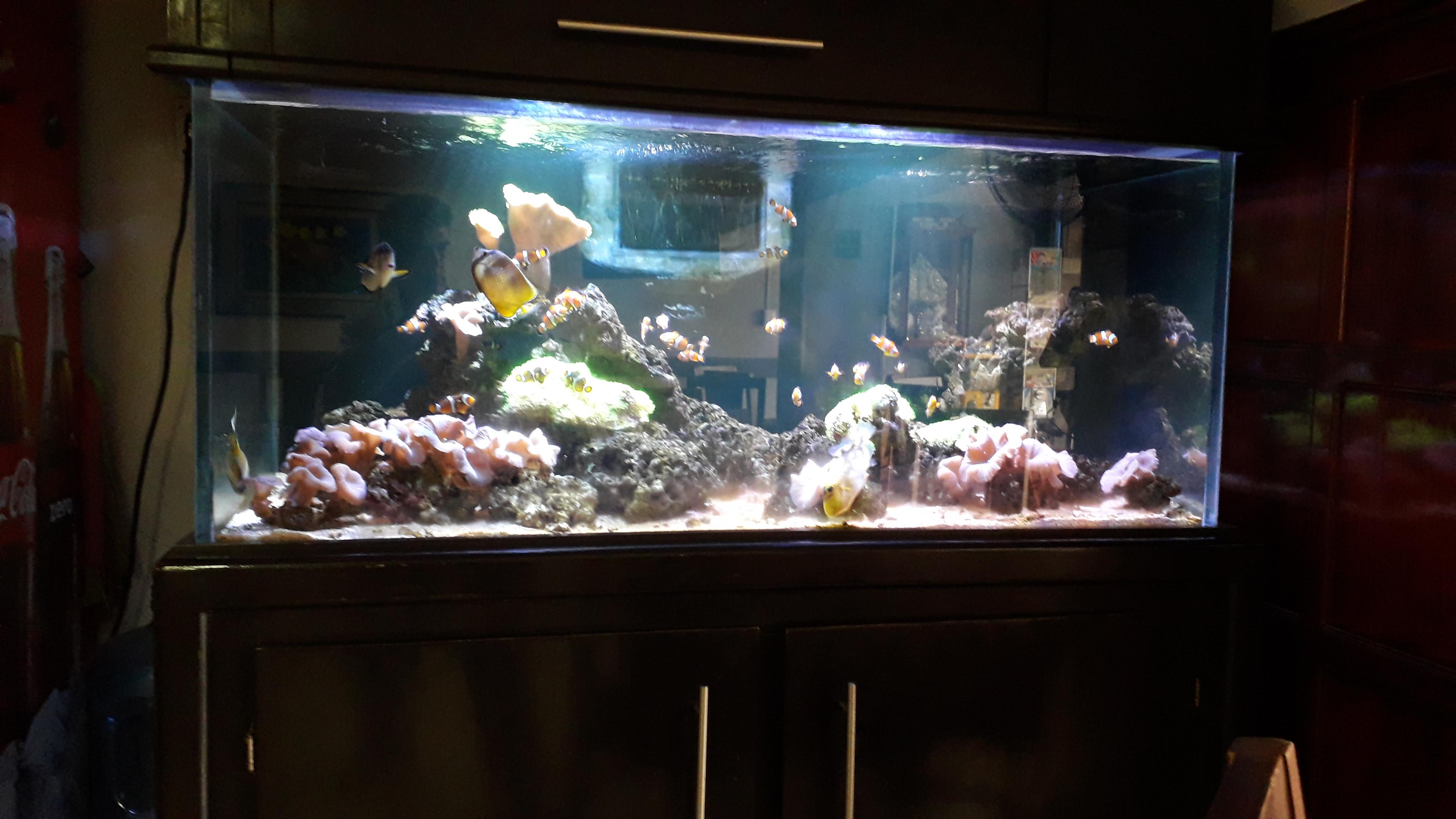 Mariscos Ocotlán image 7