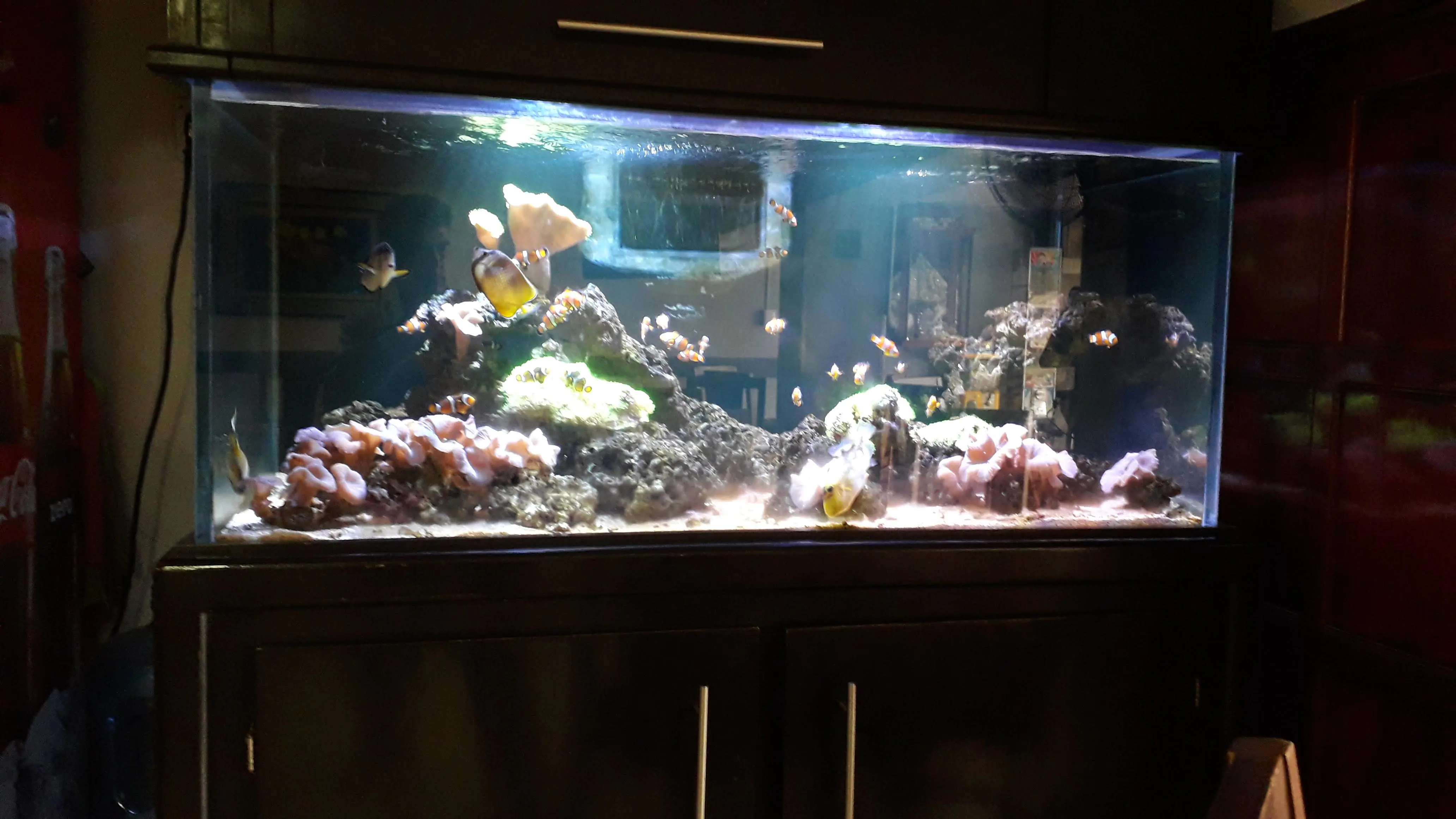 Mariscos Ocotlán image 7