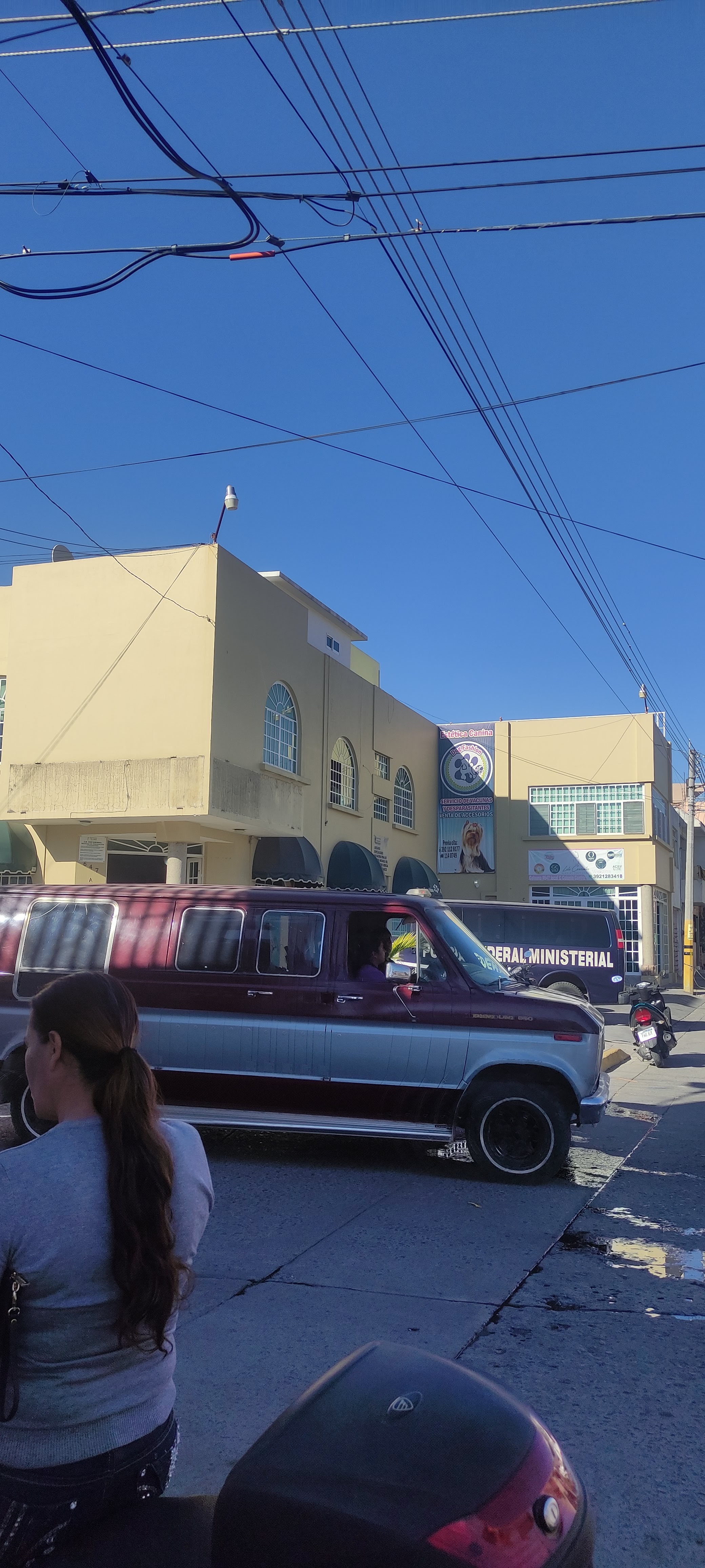 Mariscos Luis image 10