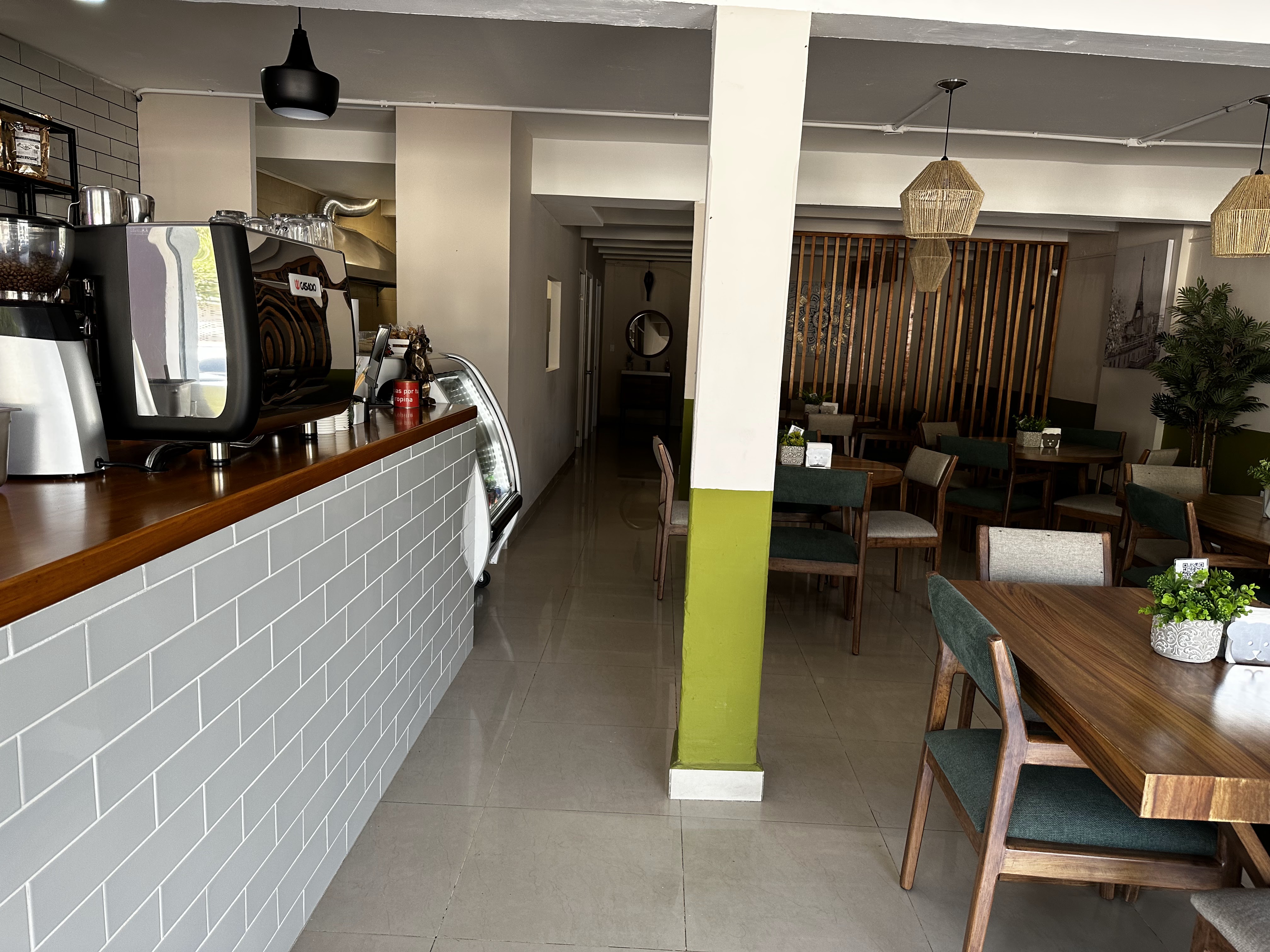 Oso Despierto image 1