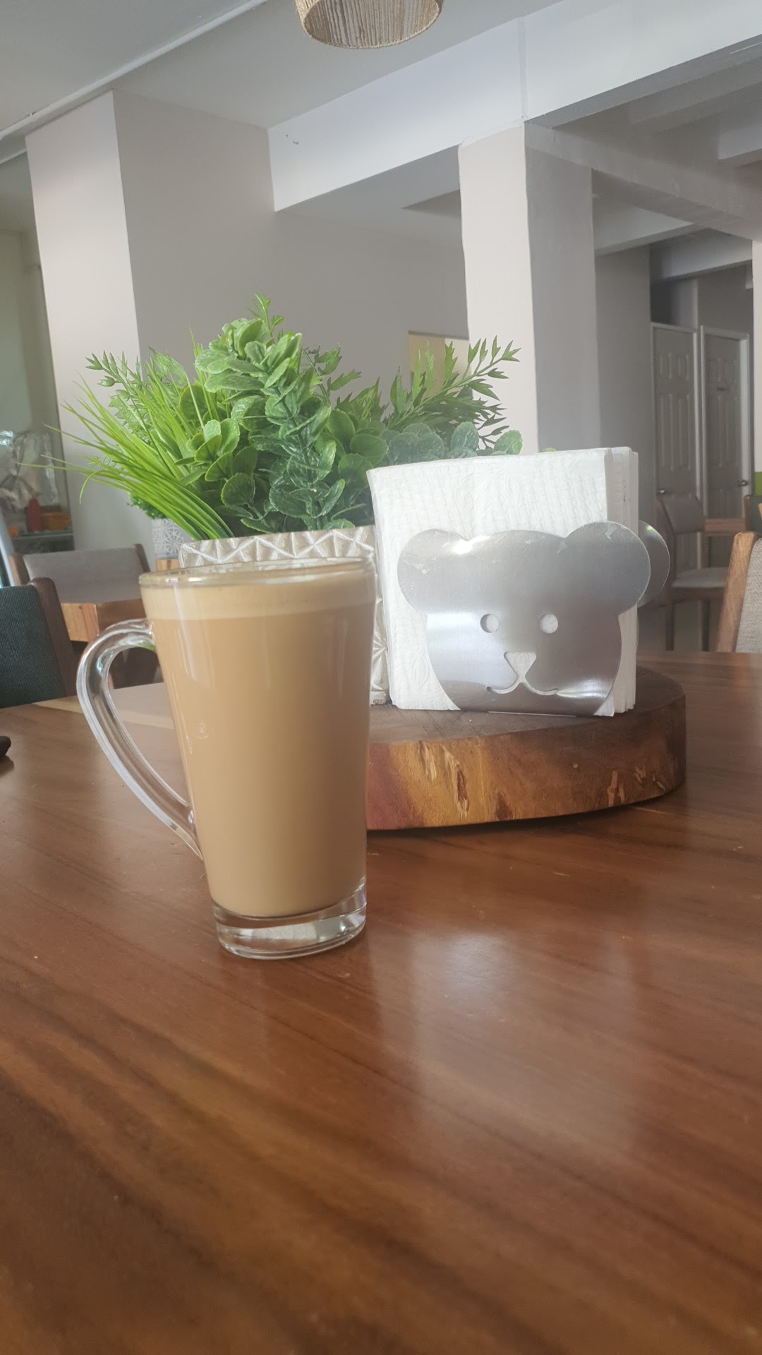 Oso Despierto image 2