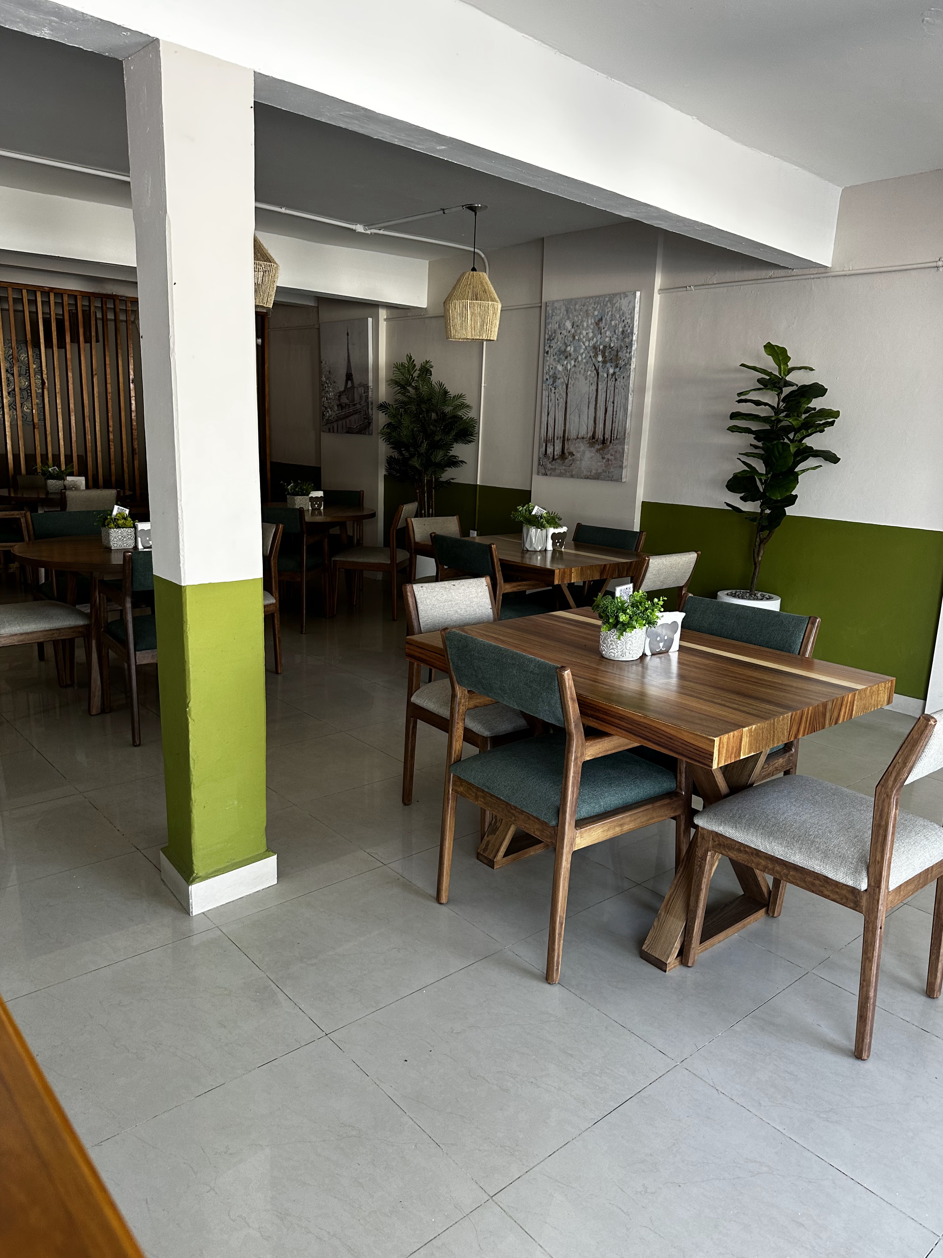 Oso Despierto image 3