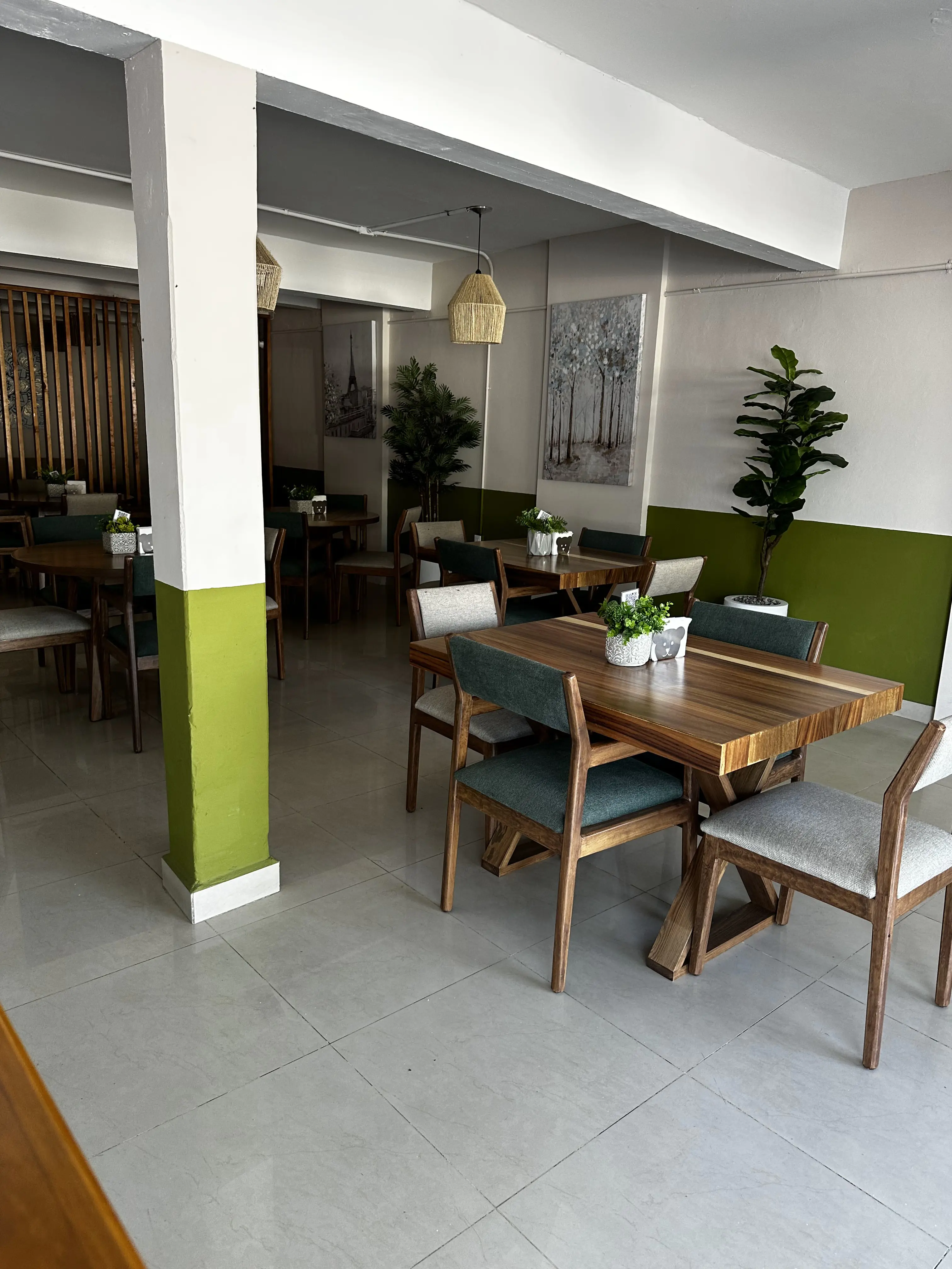 Oso Despierto image 3