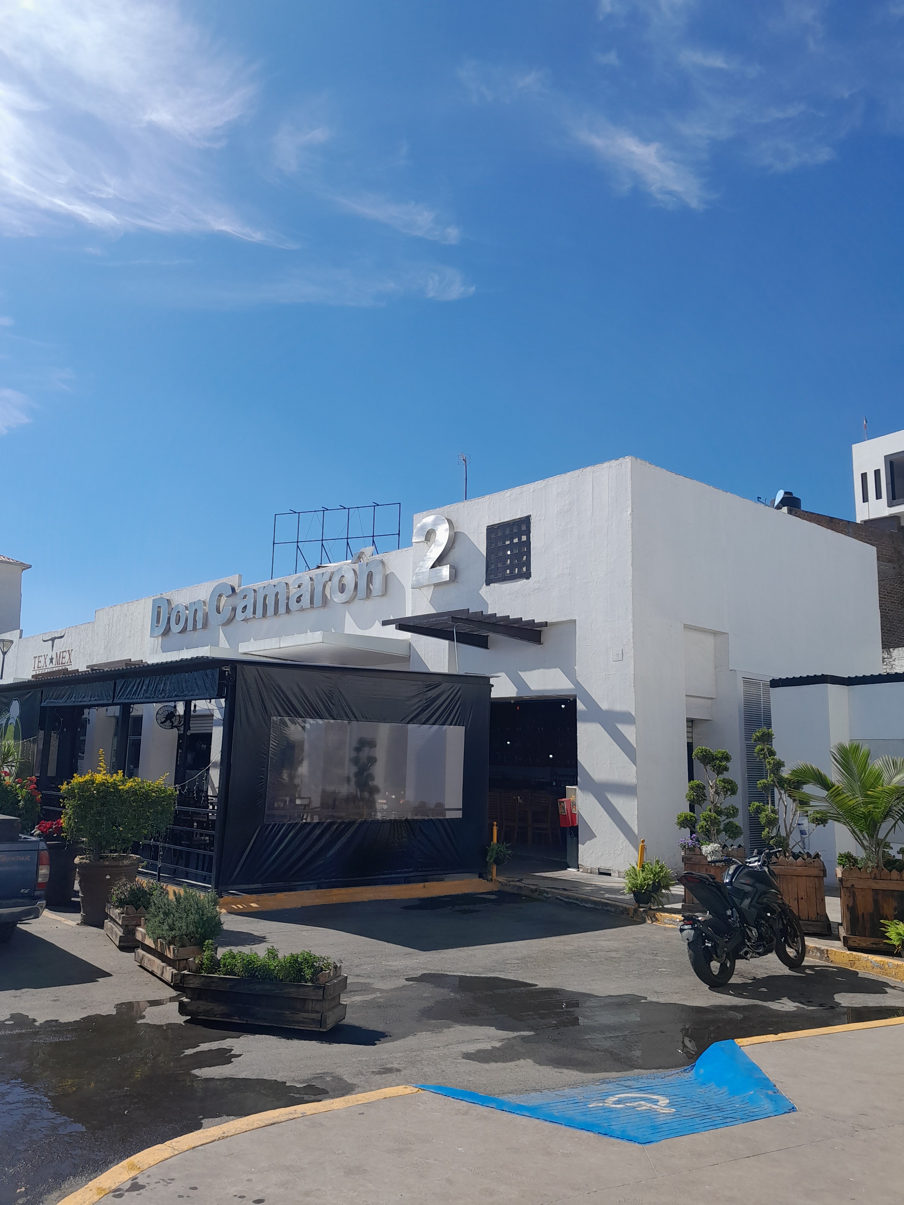 Don Camaron 2 image 4