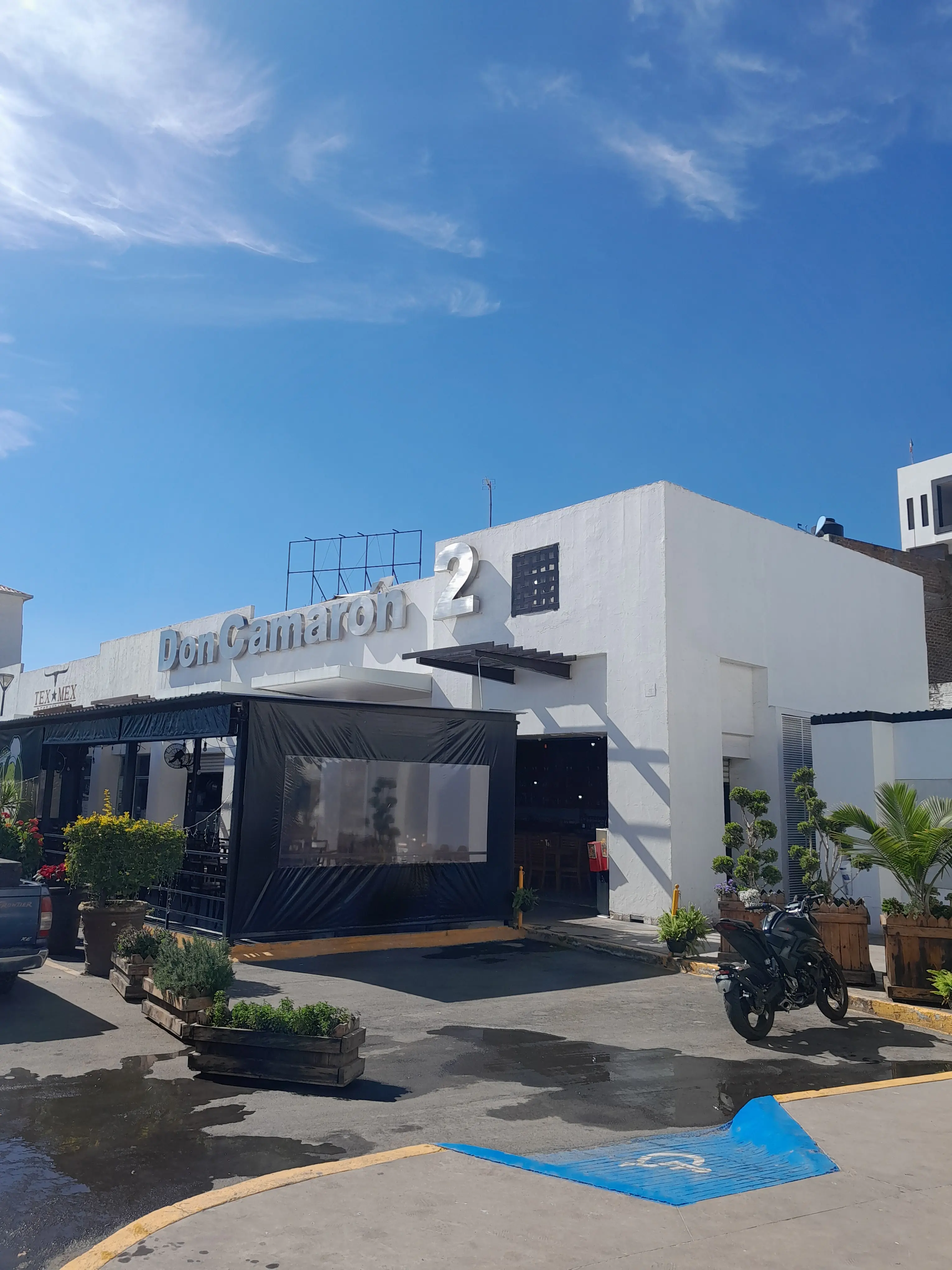 Don Camaron 2 image 4